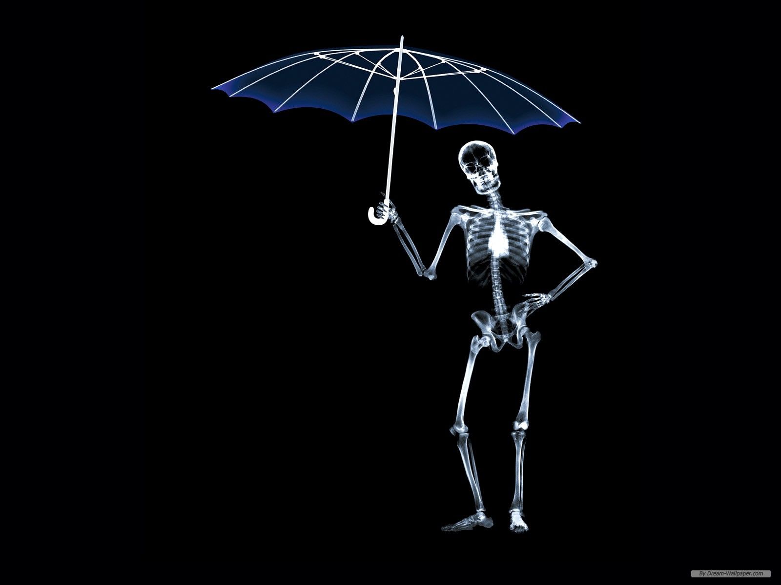 Scheletro radiografia con ombrello, 1600x1200 900p, Desktop