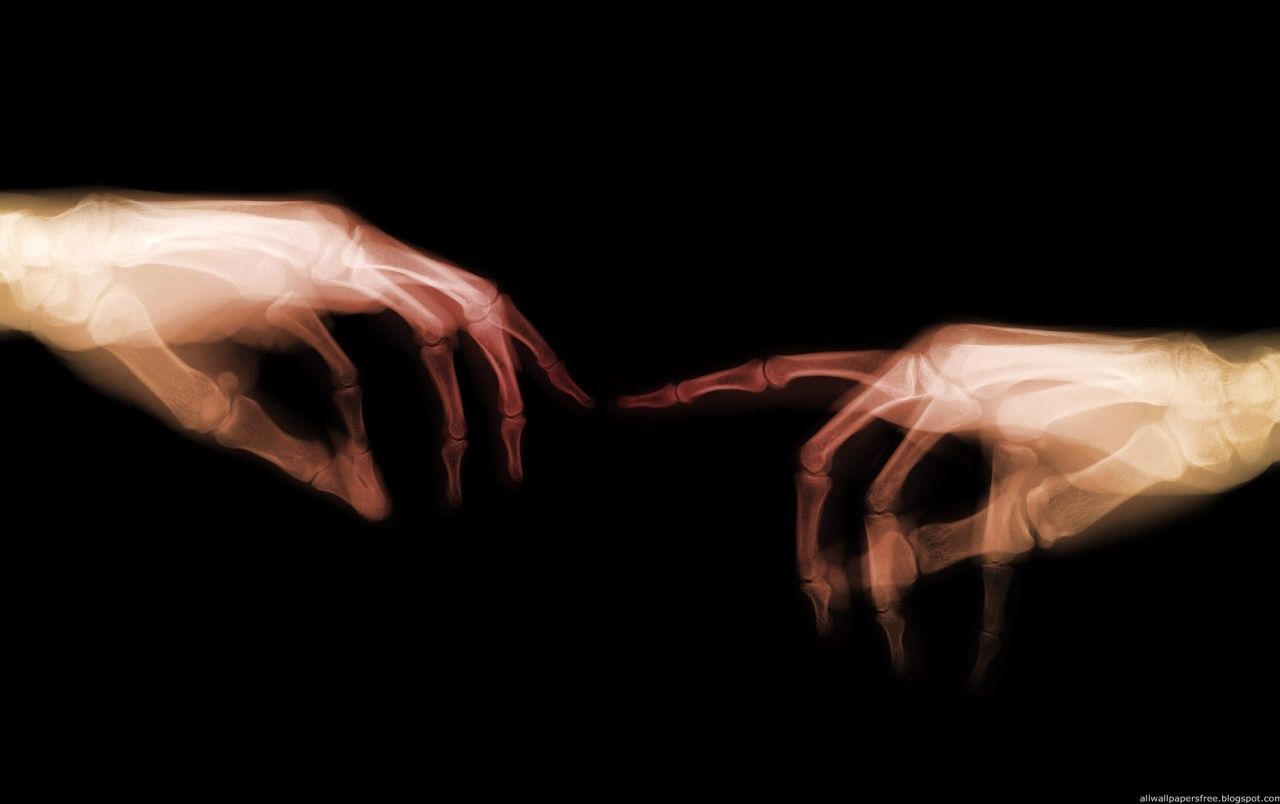 Radiografia mani che si toccano, 1280x804 720p, Laptop