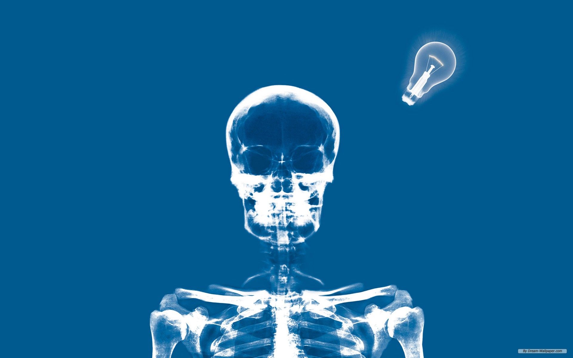 Radiografia scheletro sfondo blu, 1920x1200 WUXGA, PC Desktop