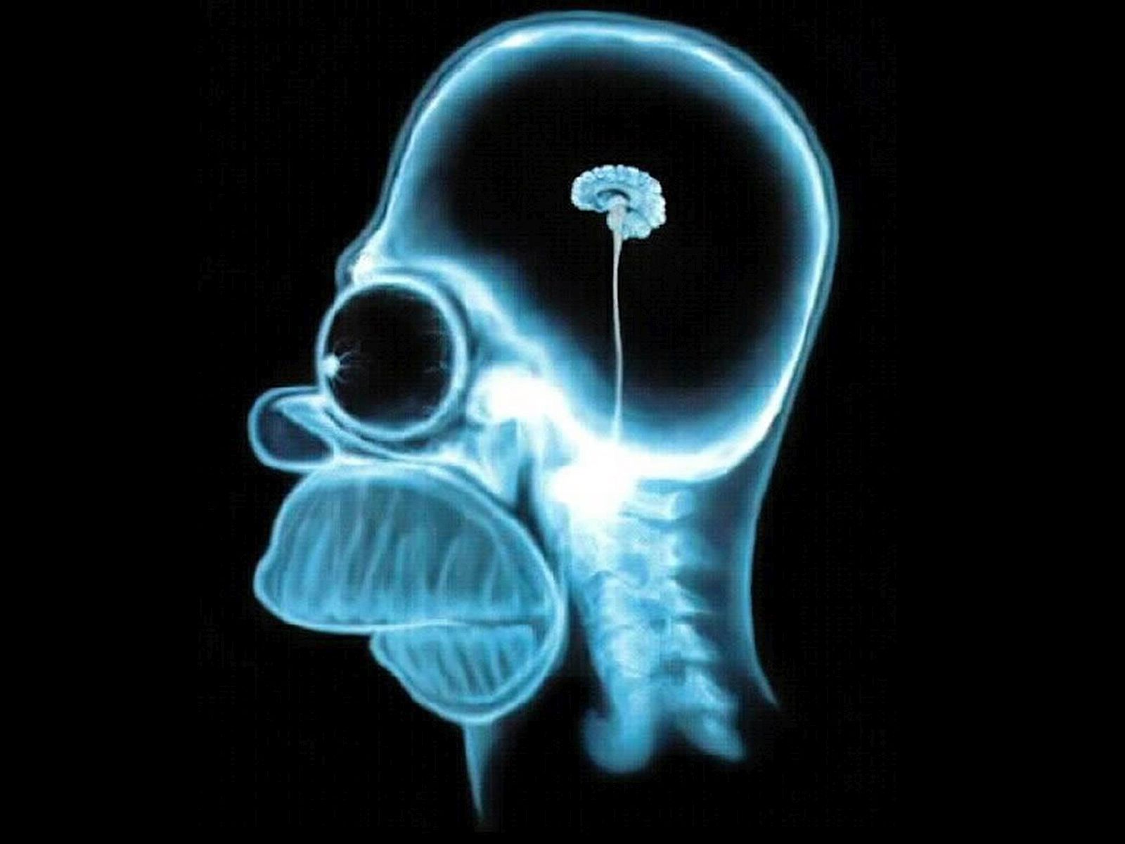 Homer Simpson raggi X, serie animata, 1600x1200 HD, Laptop