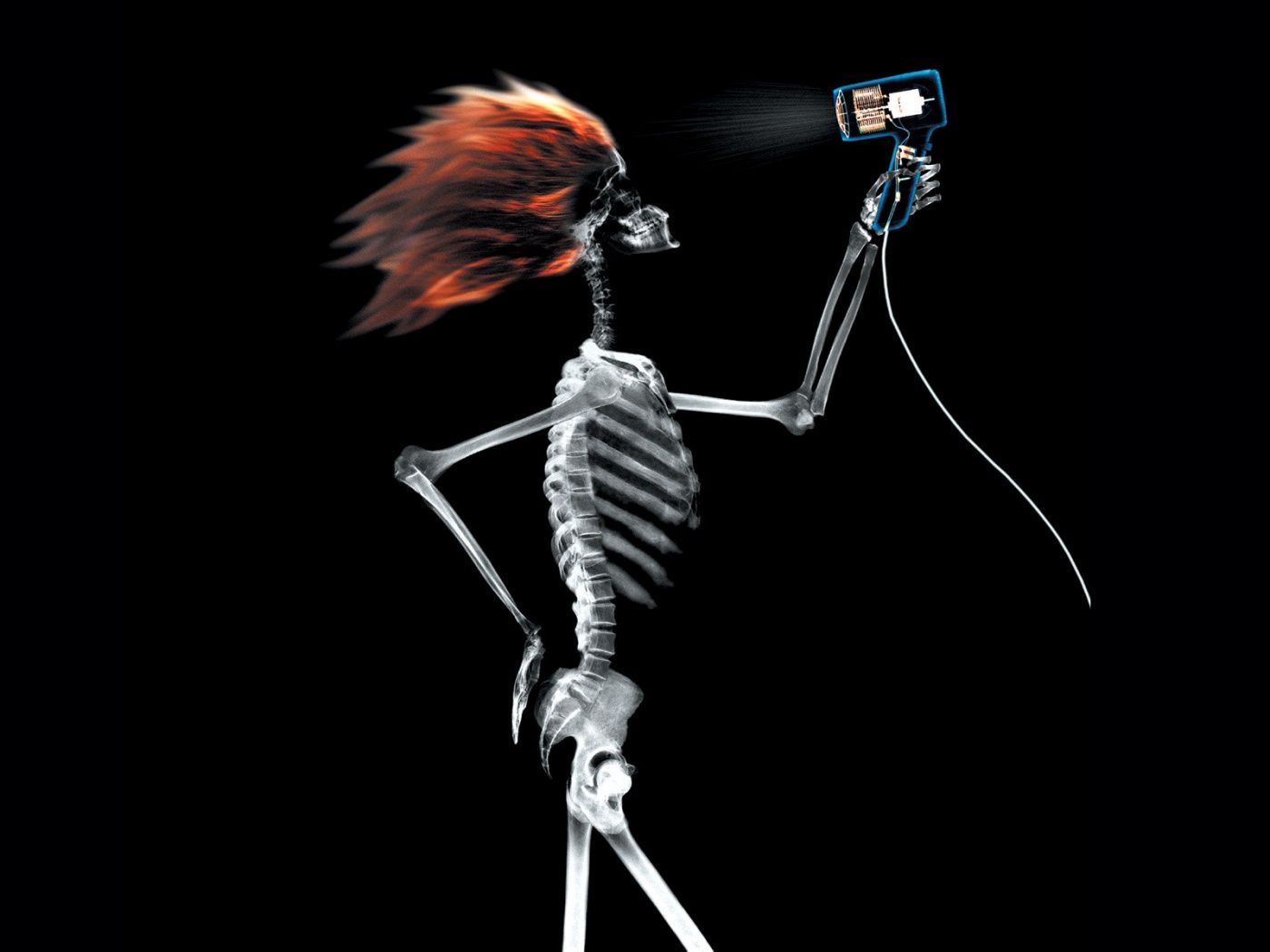 Radiografia cranio profilo, 1600x900 900p, Desktop