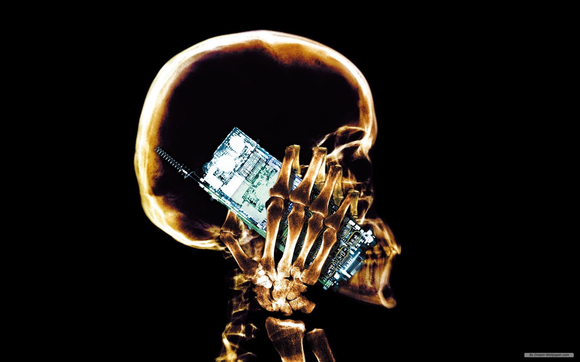 Radiografia cranio con cellulare, 1920x1200 Full HD+ WUXGA, PC