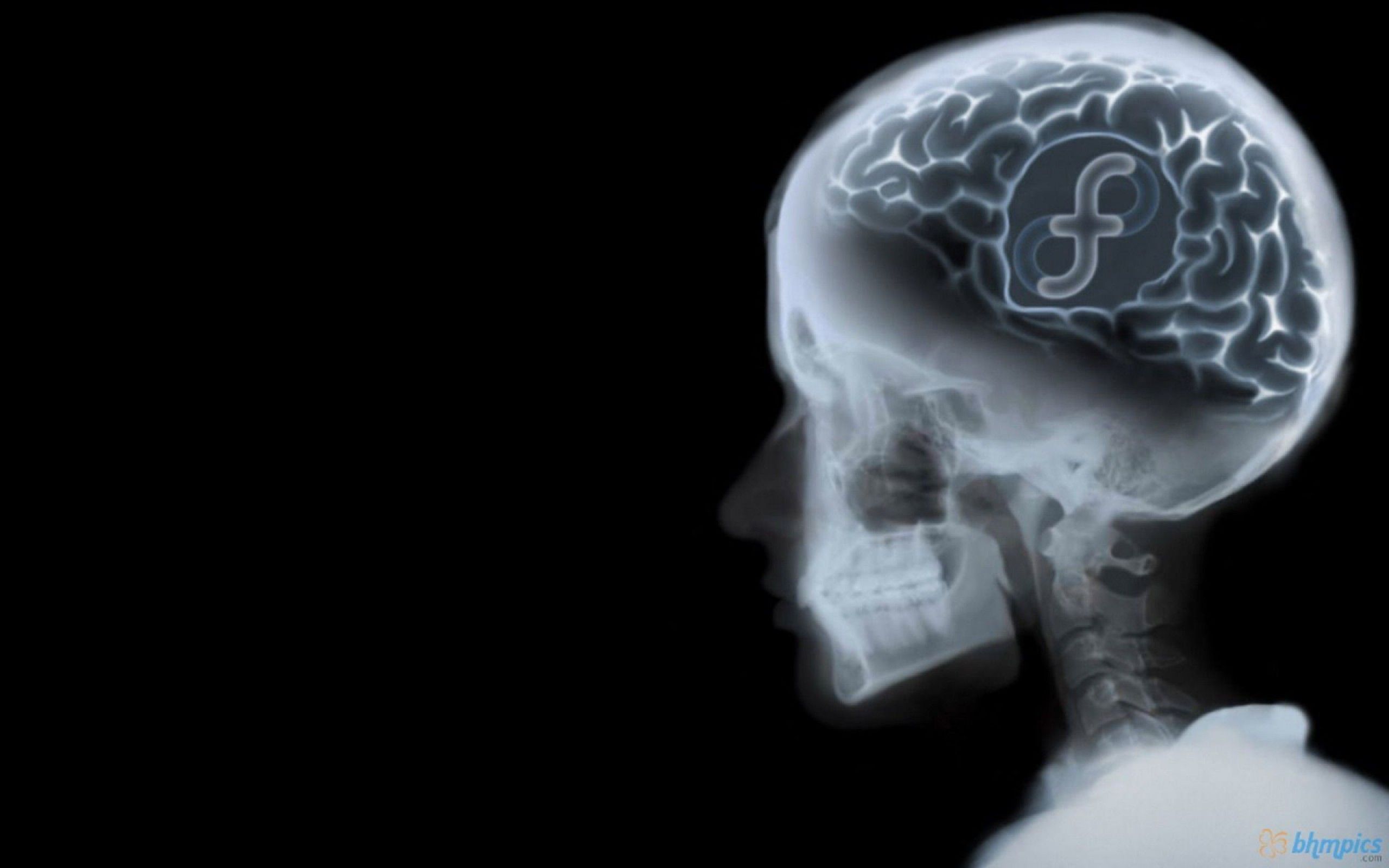 Radiografia teschio con logo Fedora, 2560x1600 WQXGA, MacBook Pro