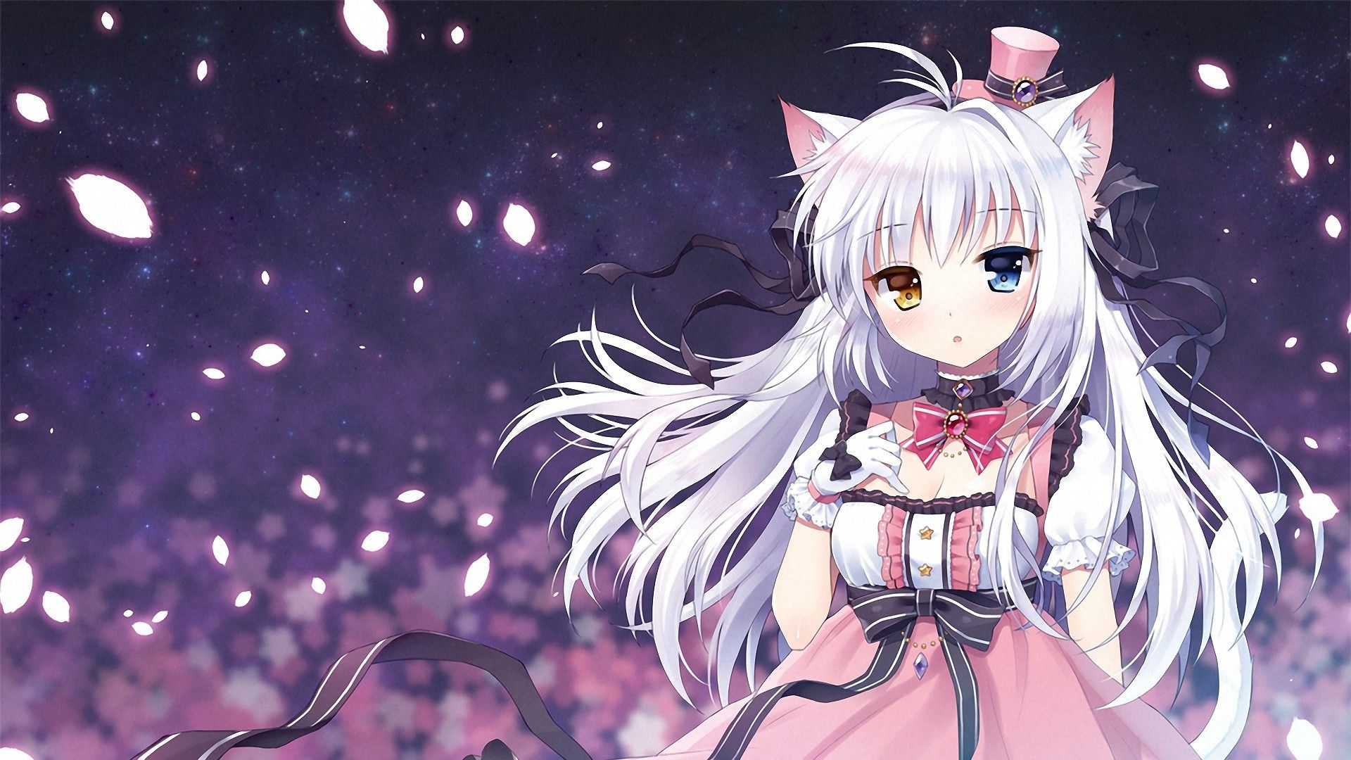 Ragazza anime neko capelli bianchi, 1920x1080 1080p, Desktop
