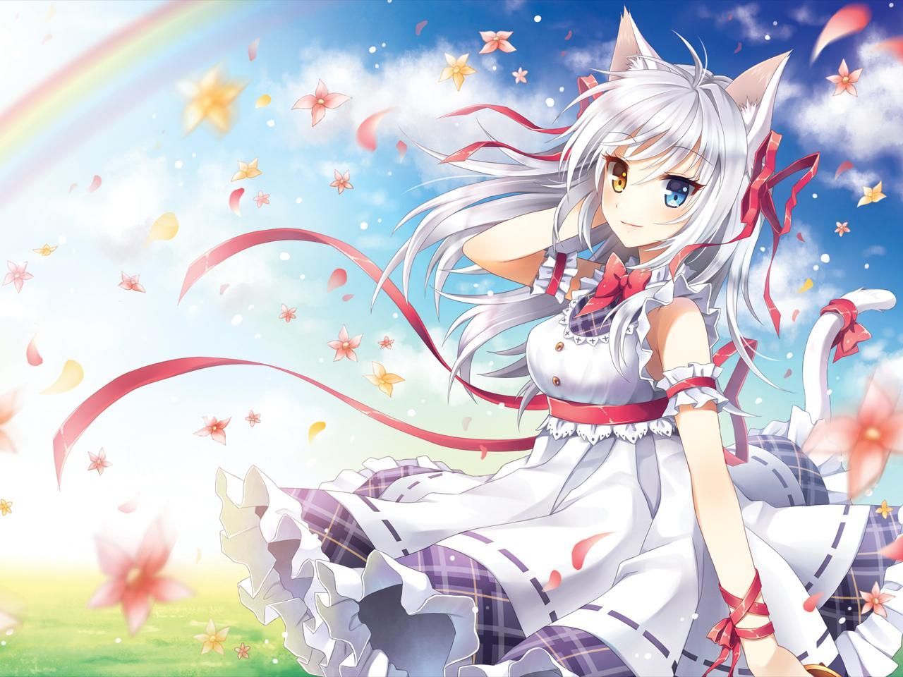 Ragazza gatto anime kawaii, 1280x960 HD, Desktop