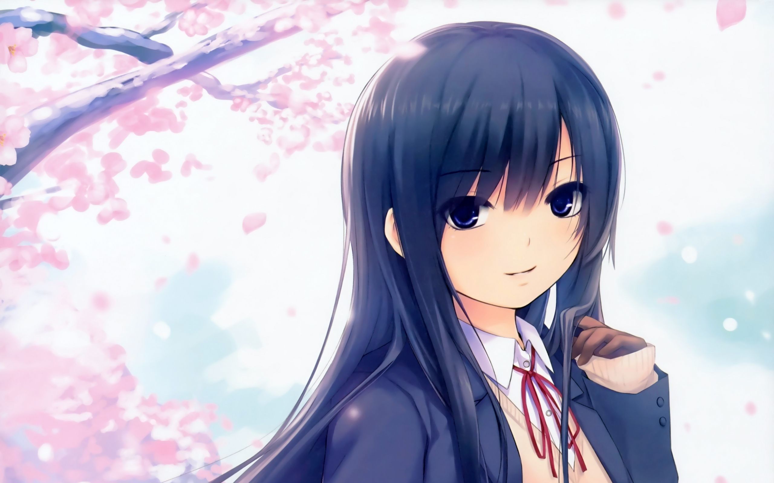 Ragazza anime capelli neri sakura, 2560x1600 2K, Desktop