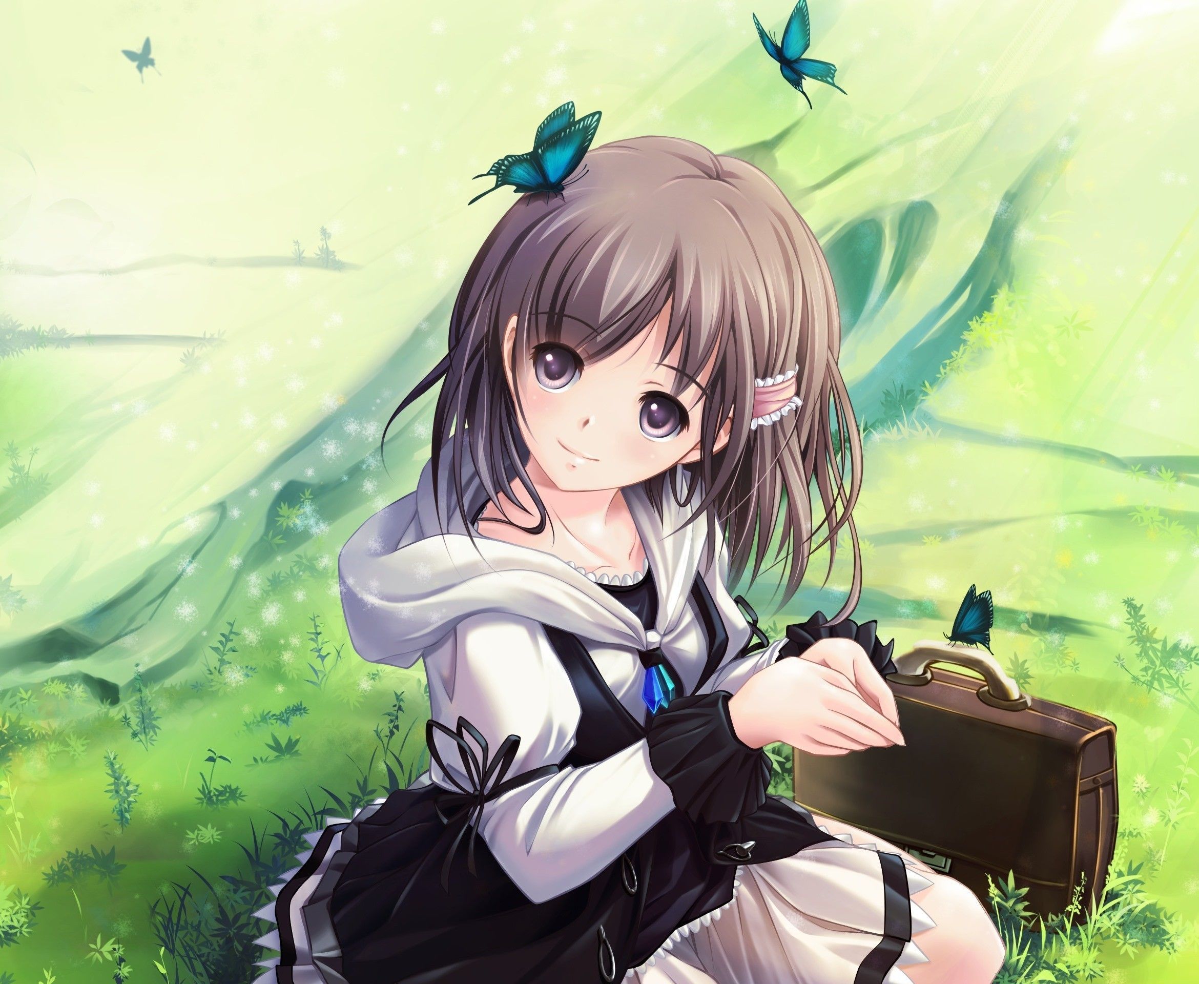 Ragazza anime con farfalle blu, 2340x1920 2K, Desktop