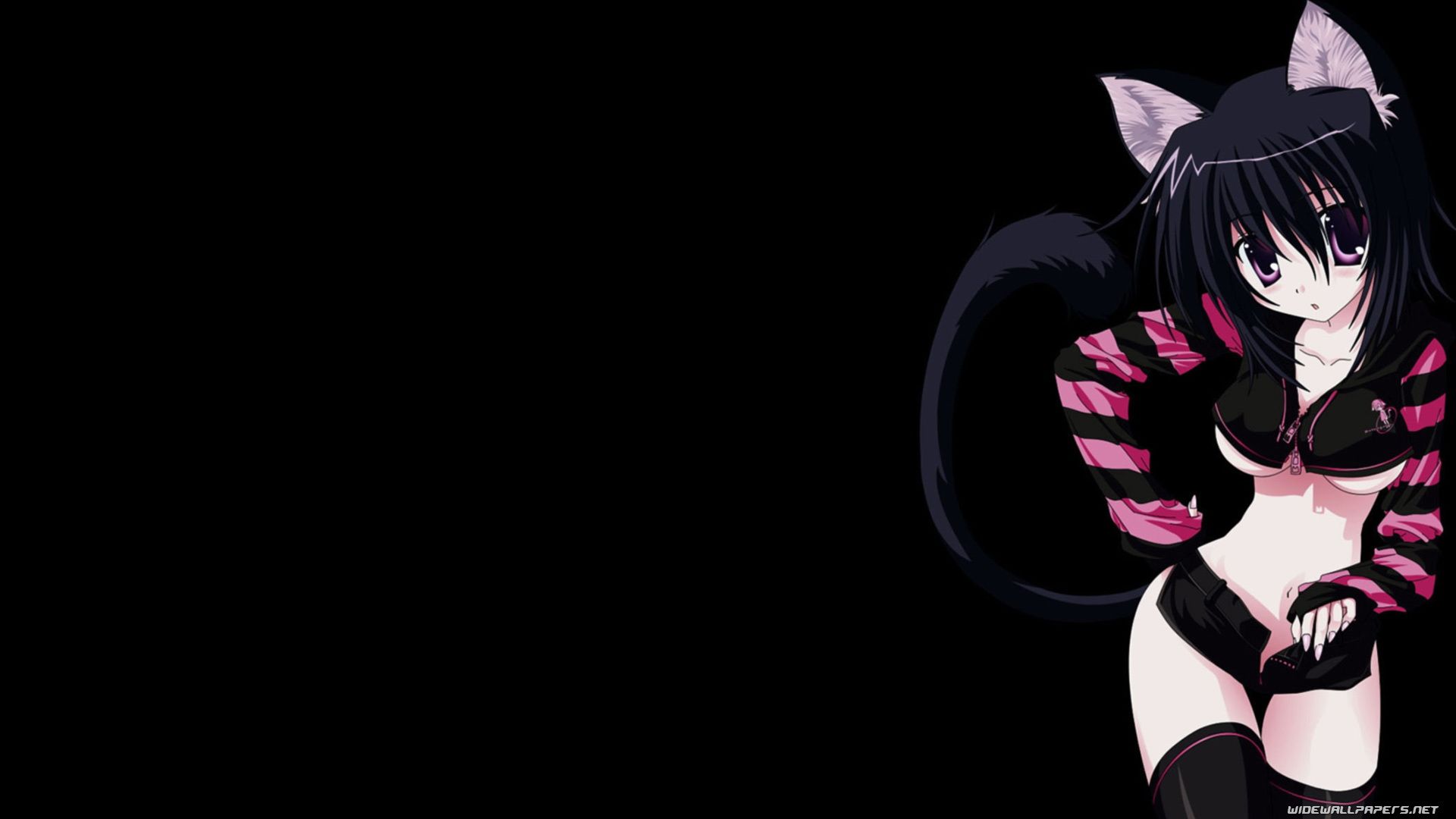 ragazza anime neko orecchie gatto, 1920x1080 Full HD 1080p, Desktop