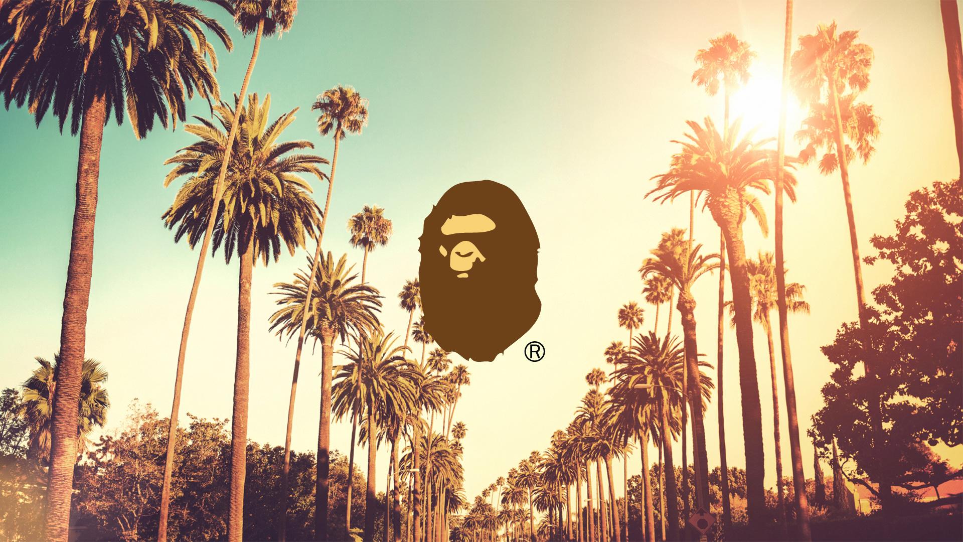 Logo BAPE su palme, 1920x1080 Full HD, PC Desktop