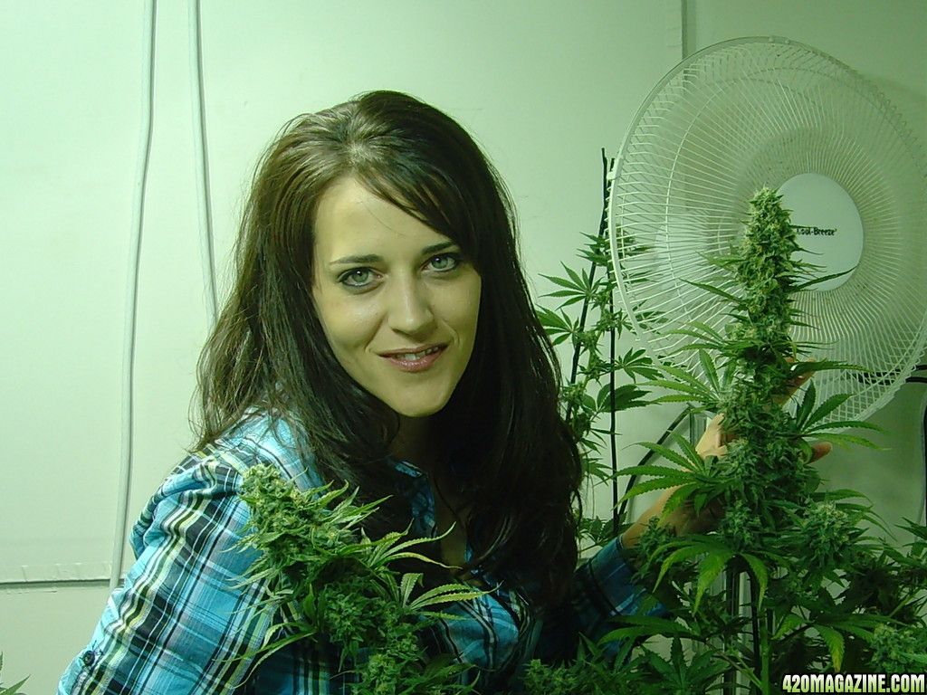 Donna che fuma cannabis all'aperto, 1200x800 HD, PC