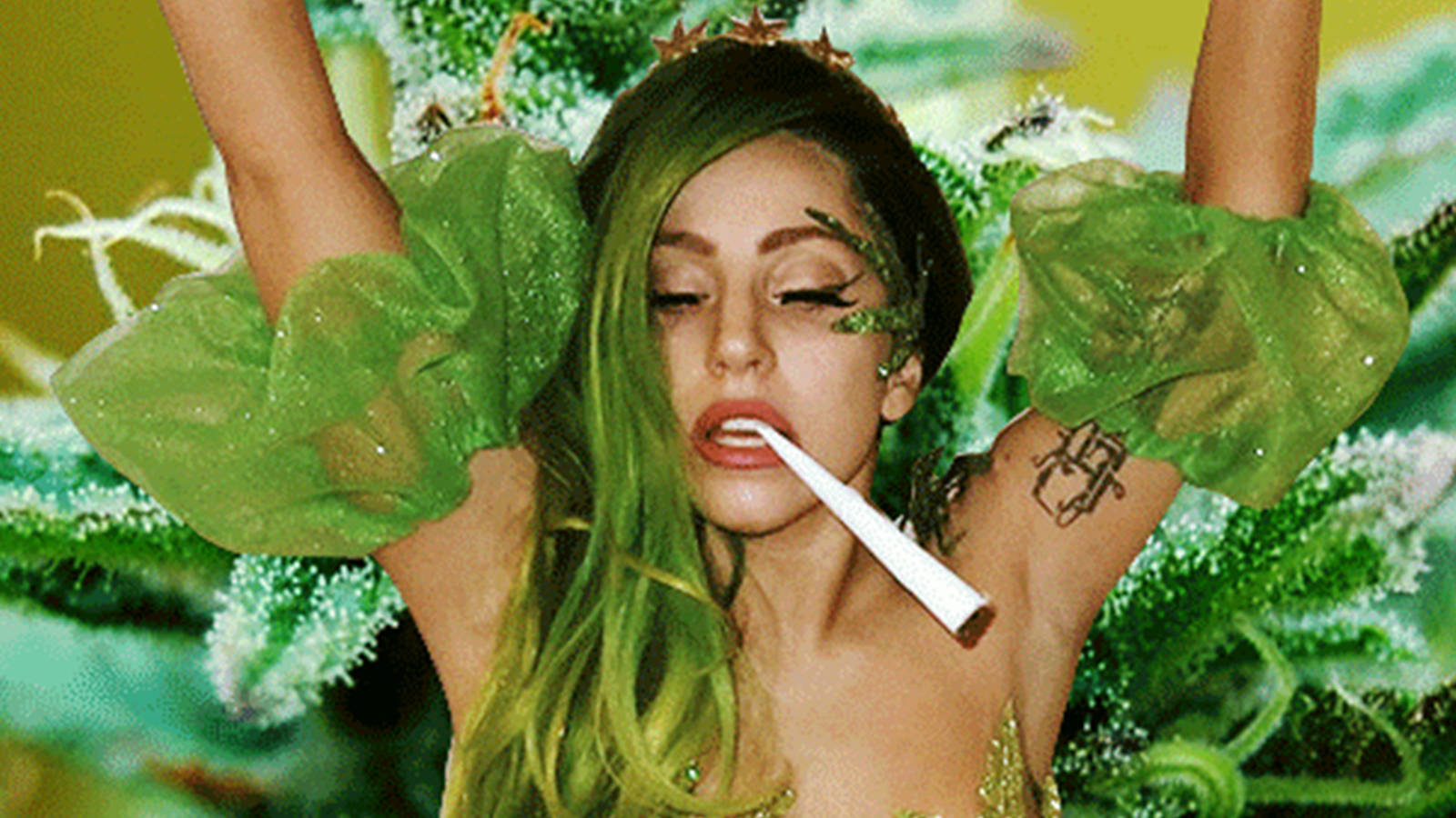 Ragazza foglie verdi cannabis, 1600x900 HD Ready, PC Desktop