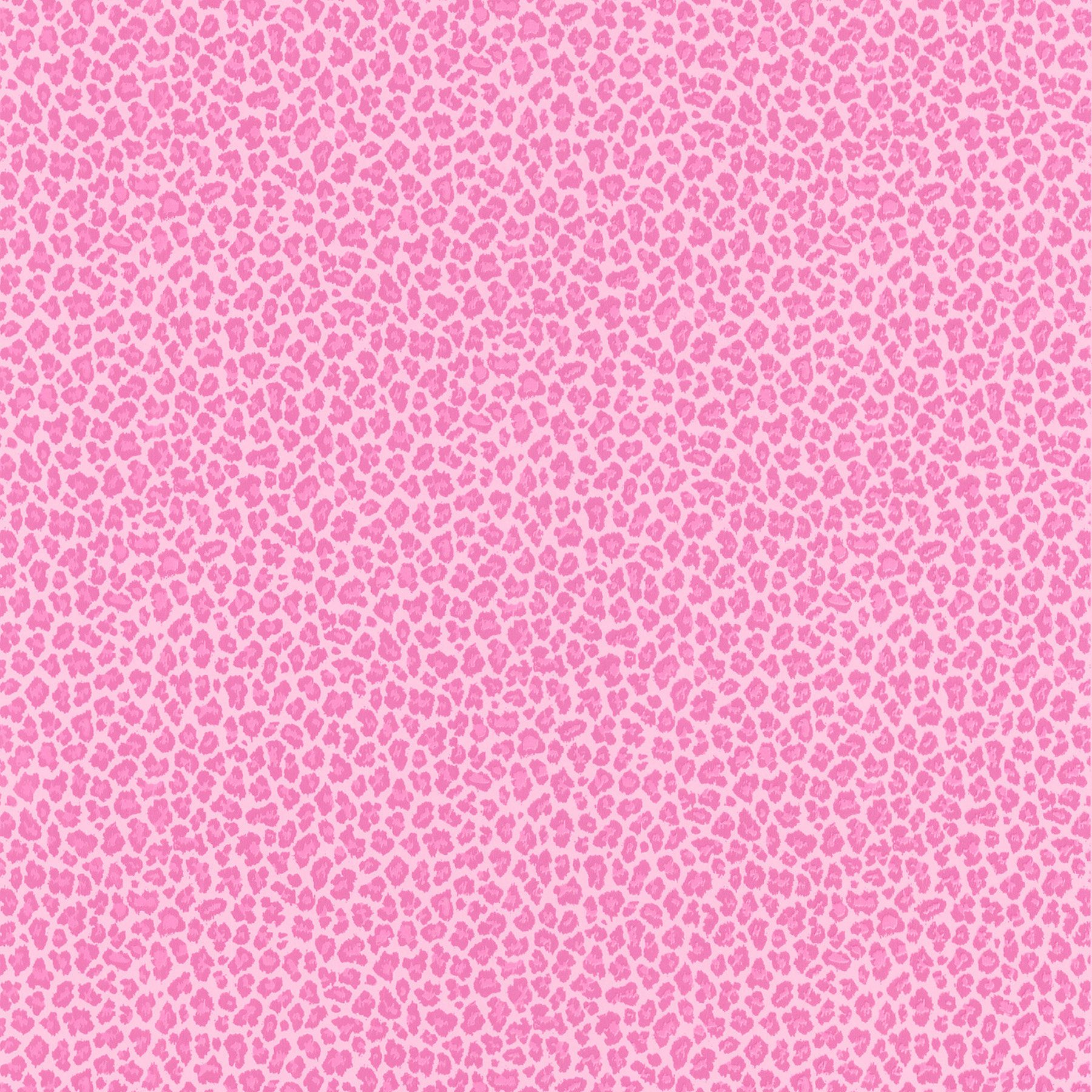 Fiori rosa citazione Mussolini, 1280x800 720p, PC