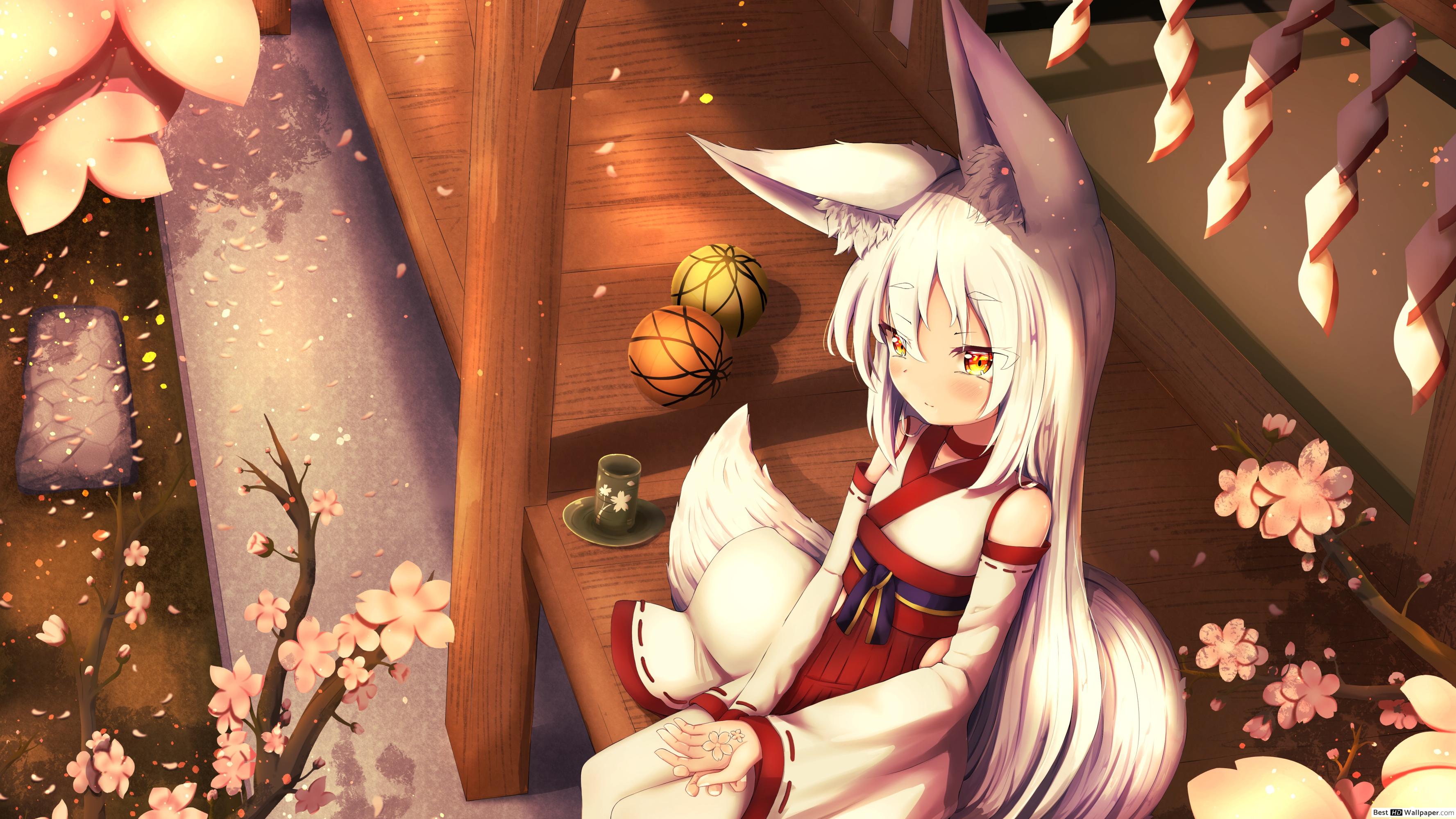 Ragazza volpe santuario anime, 3554x1999 2K+, Monitor Gaming
