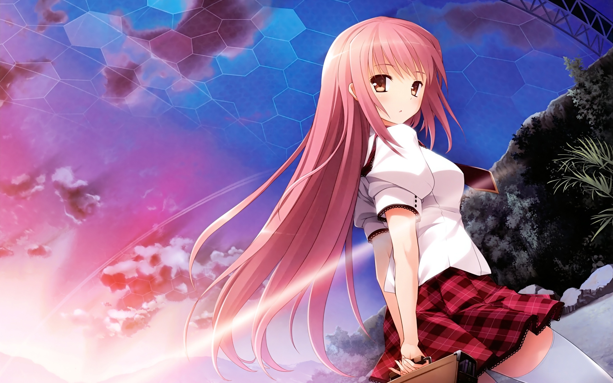 Ragazza anime capelli rosa, 2560x1600 2K, Laptop