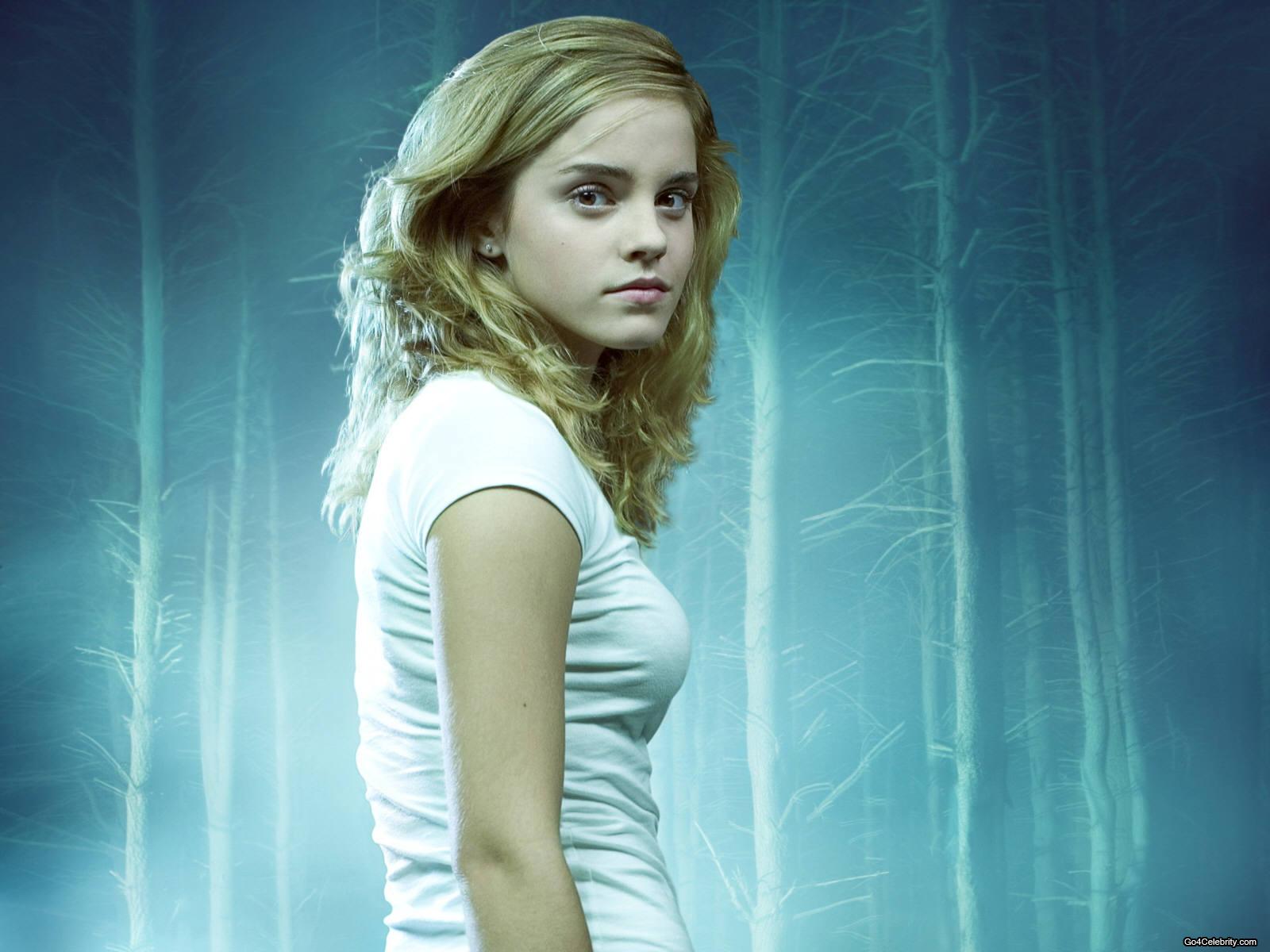 Hermione Granger, Harry Potter, 1600x1200 900p, Desktop