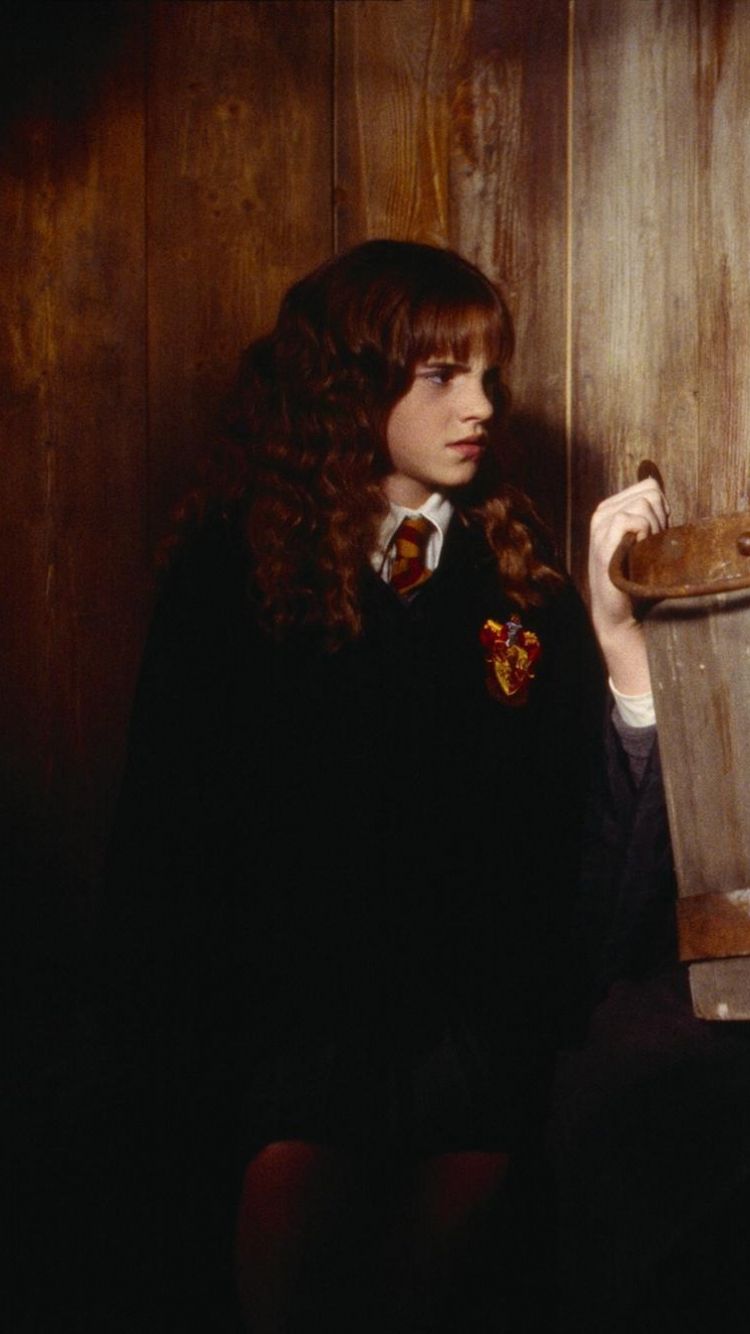 Ron, Harry ed Hermione Grifondoro, Hogwarts, 1024x768 HD, Laptop
