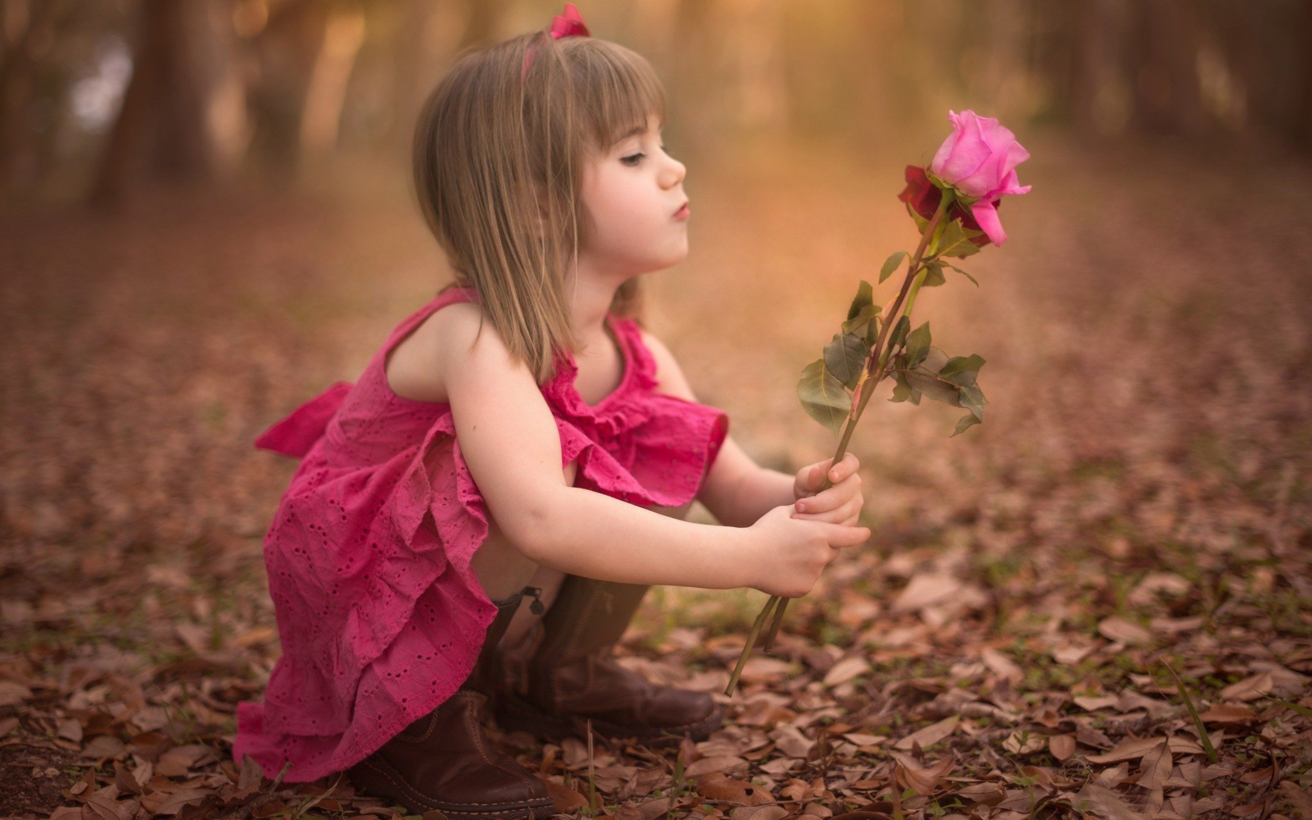 Bambina con rosa rosa, 2560x1600 2K+, PC