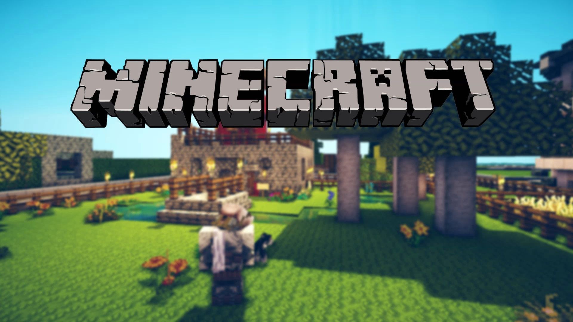 Logo Minecraft con spade diamante, 1191x670 HD, PC