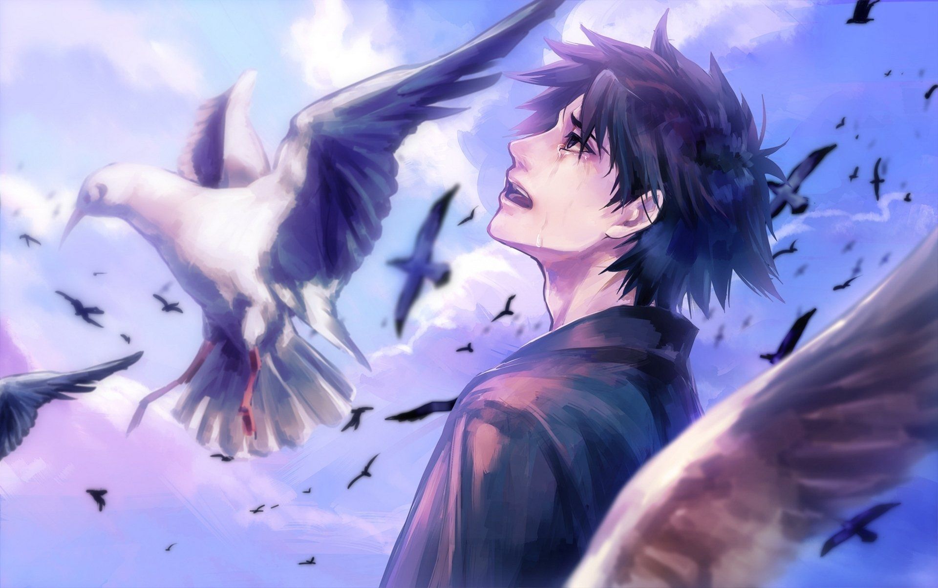 Ragazzo anime che piange, uccelli, 1920x1204 Full HD+, PC