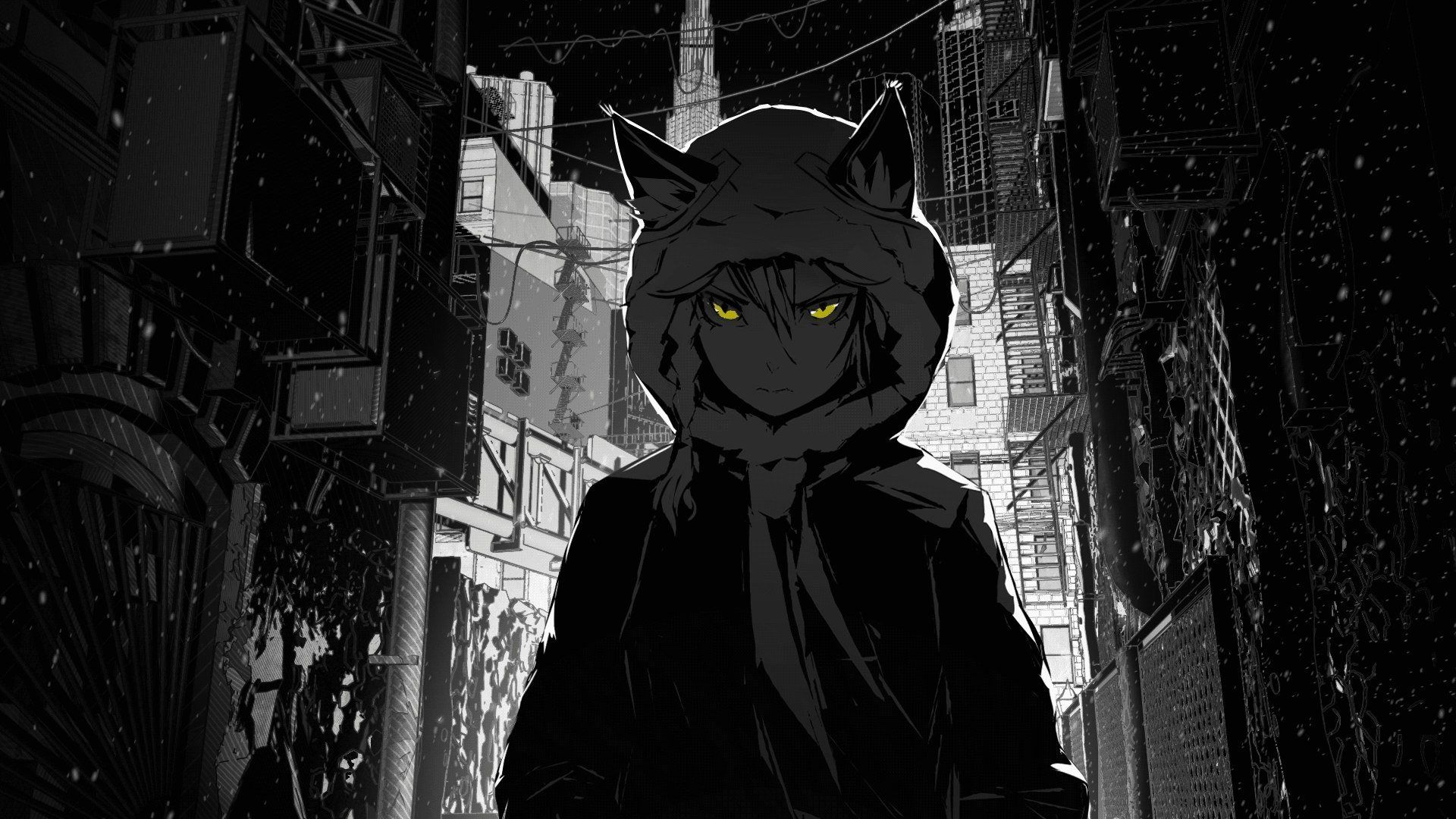 Ragazzo anime felpa gatto, 1920x1080 Full HD 1080p, Desktop