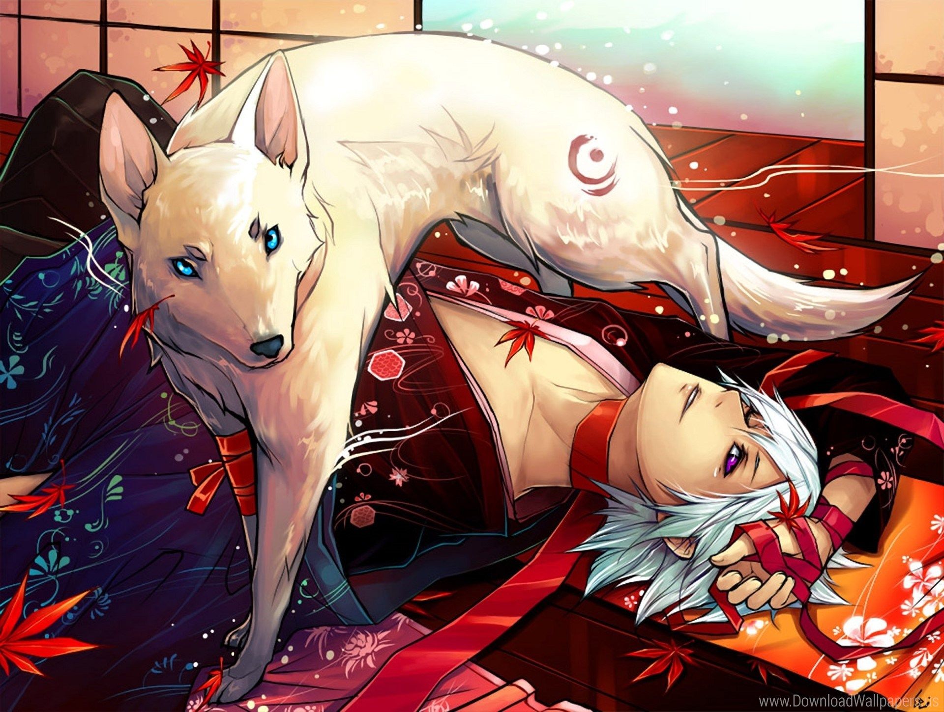 Ragazzo con lupo bianco, kimono, 1920x1450 Full HD+, PC Desktop