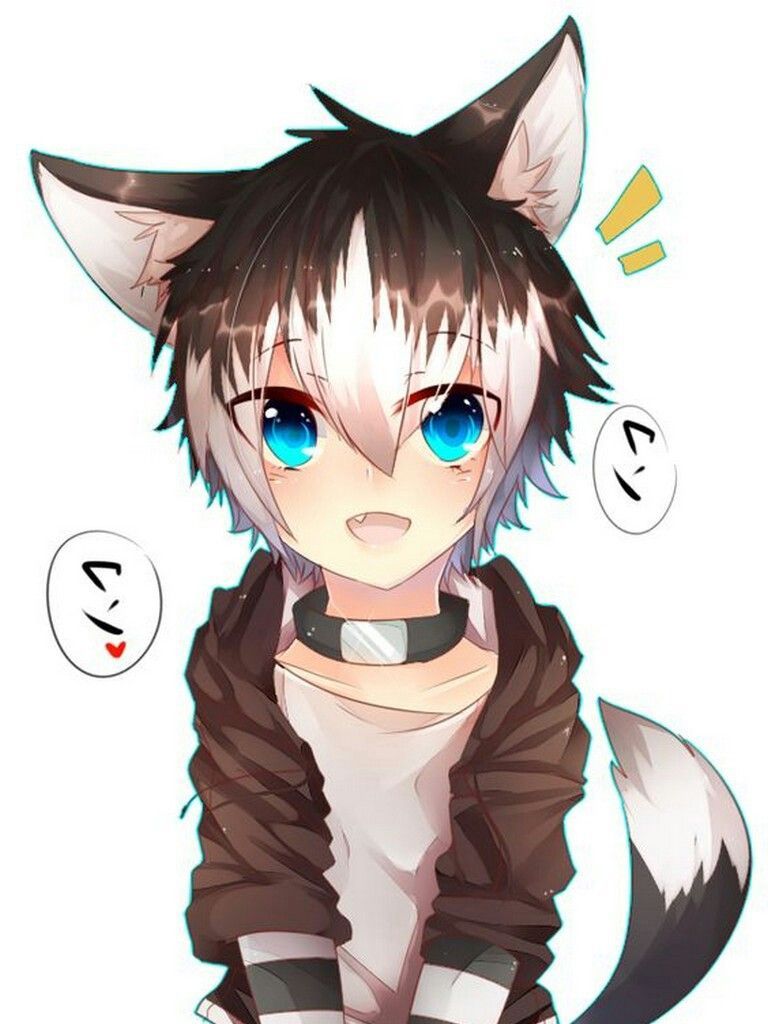 Ragazzo anime con gatto nero, 1920x1200 Full HD+, PC