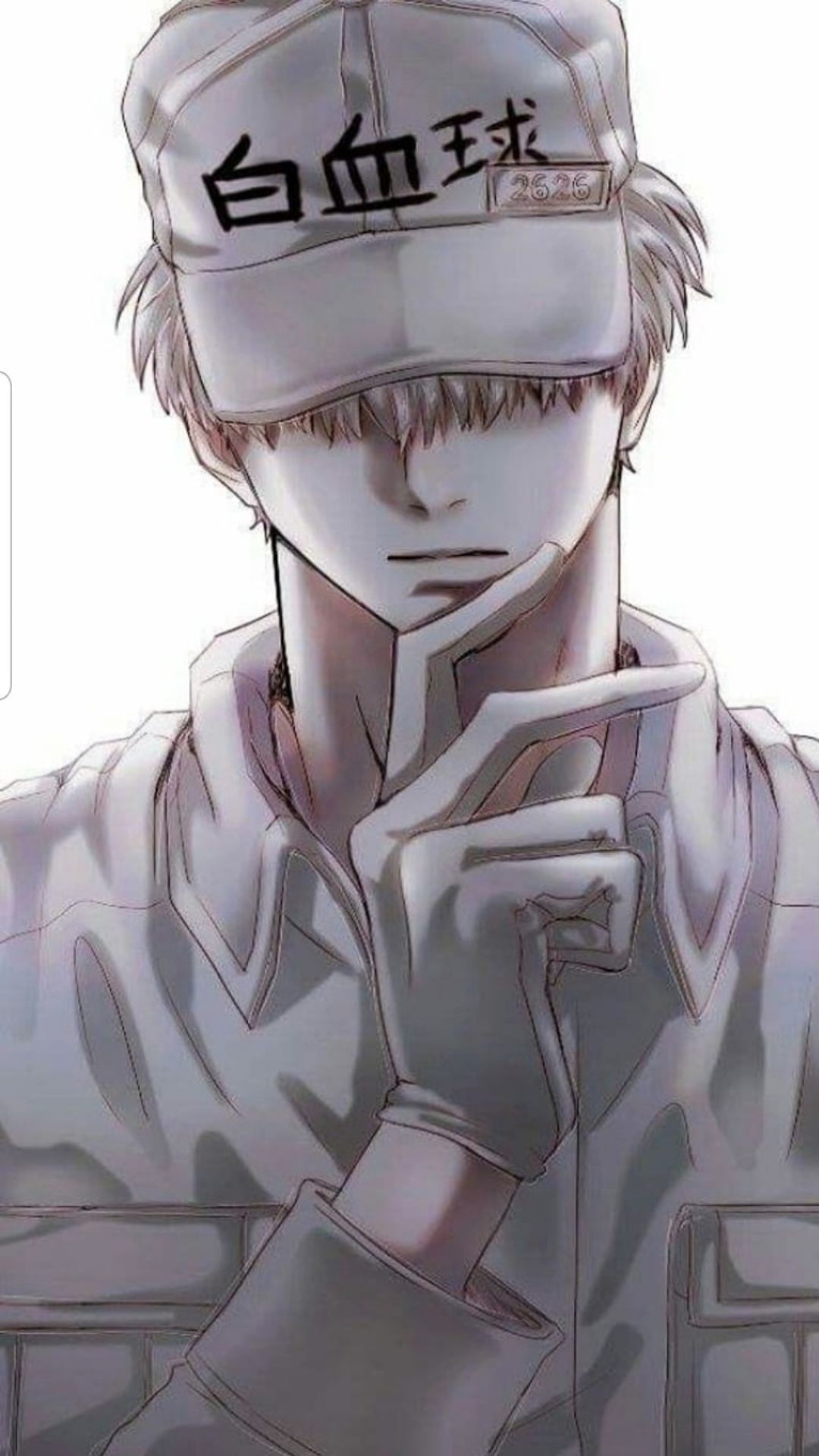 Anime globulo bianco Cells at Work, 1080x1920 Verticale, Samsung Galaxy