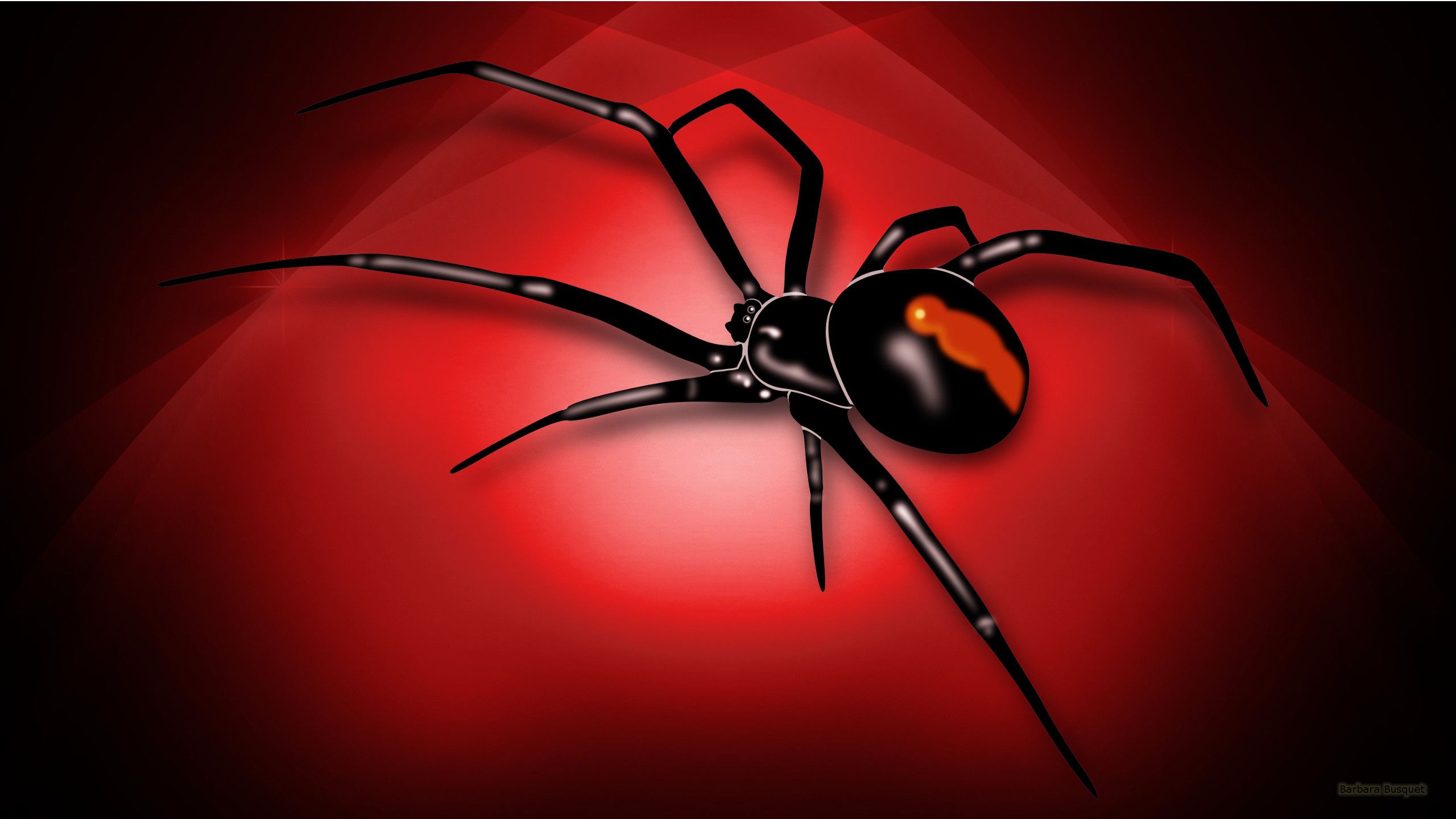 Ragni cartoon Halloween arancione, 1920x1080 1080p, Desktop