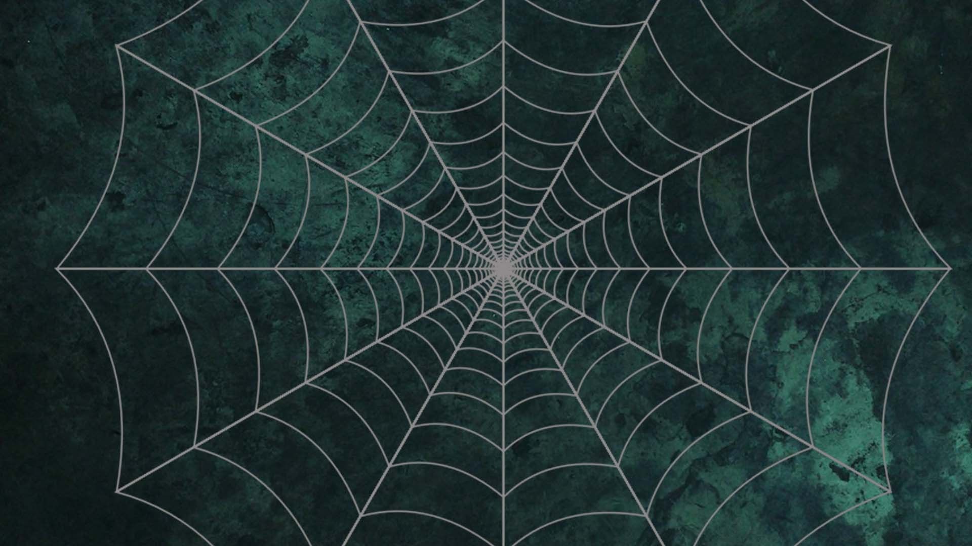 Ragni e ragnatele Halloween arancione, 1920x1200 Full HD+, PC