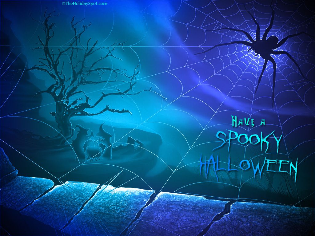 Ragno e ragnatela Halloween, 1920x1080 Full HD 1080p, Laptop