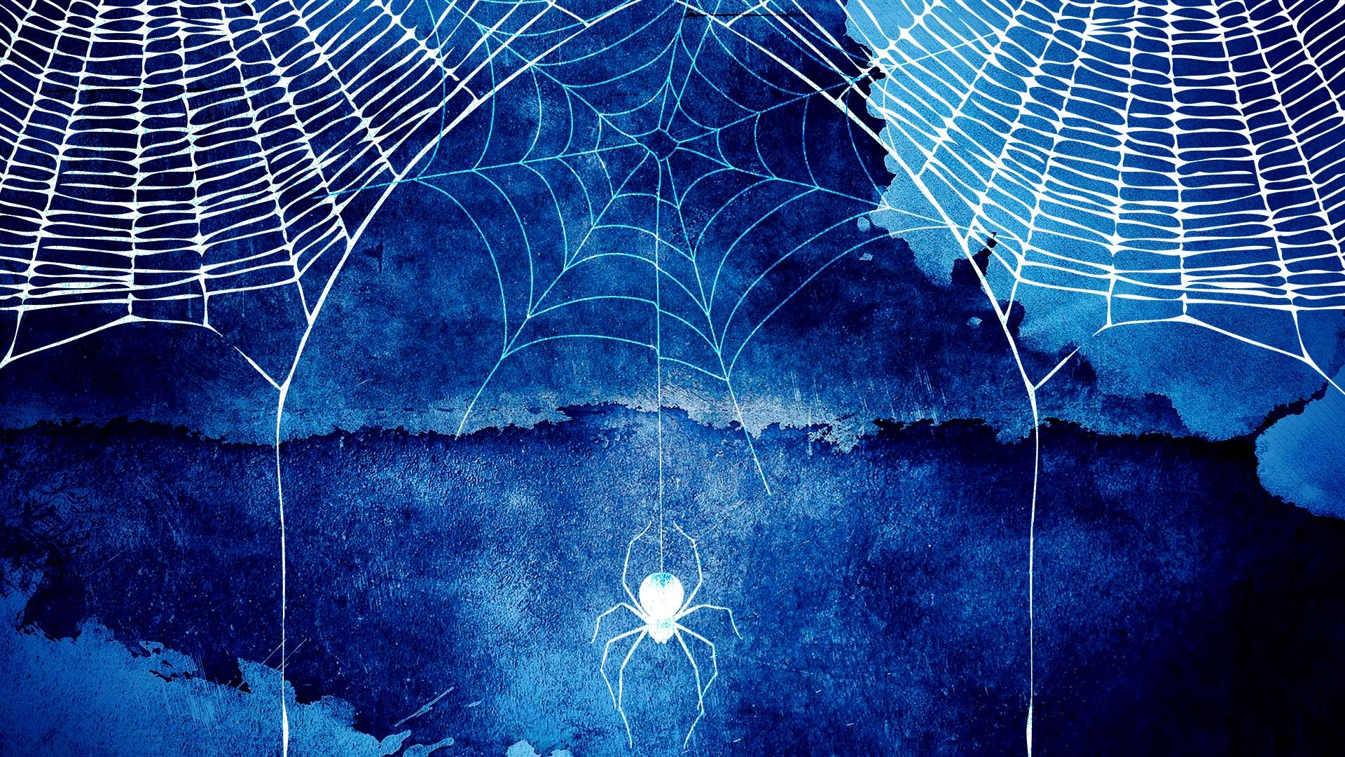 Ragno e ragnatela Halloween, 1680x1050 HD, Desktop