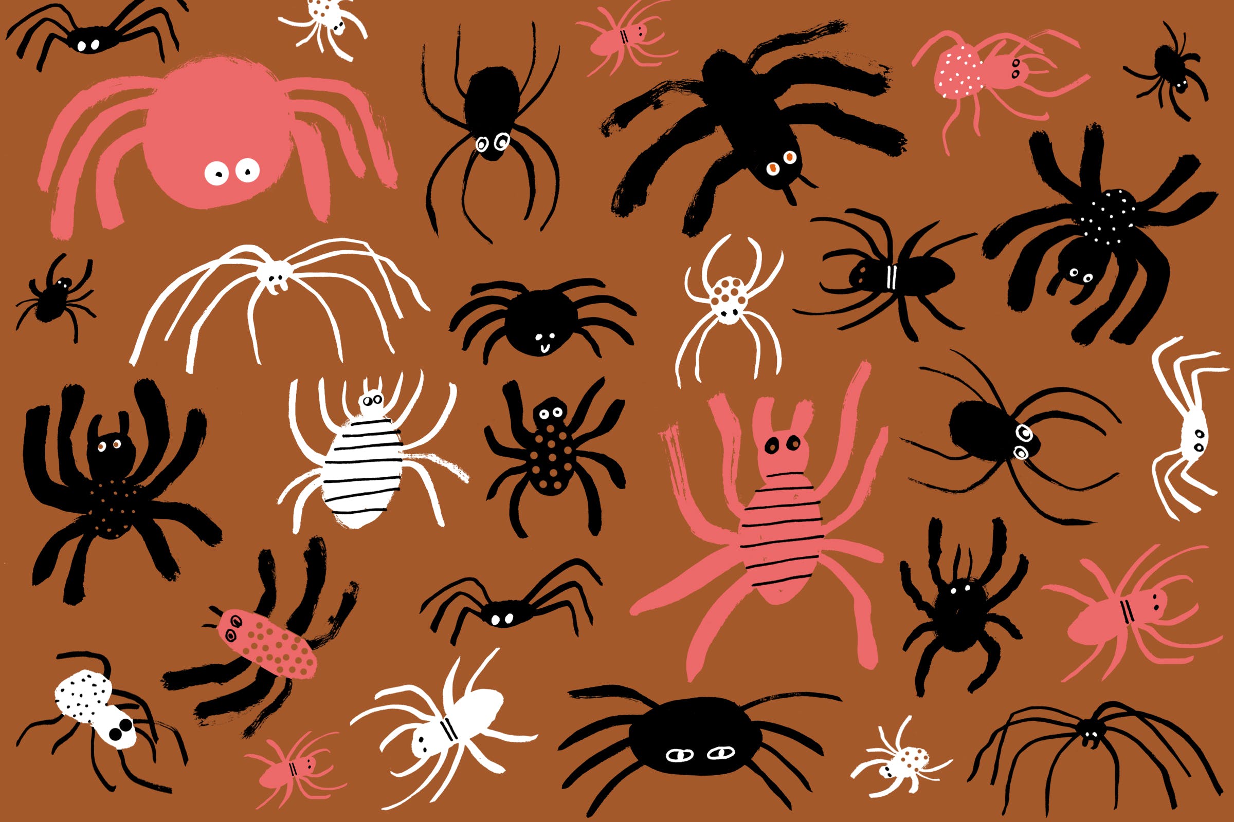 Ragno saltatore su fiore rosso, 5184x3456 Ultra HD, Monitor 4K