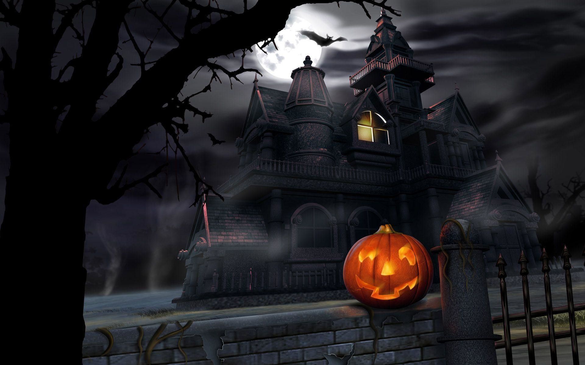 Teschi ragni gatti Halloween arancione, 1024x1024 HD, Desktop