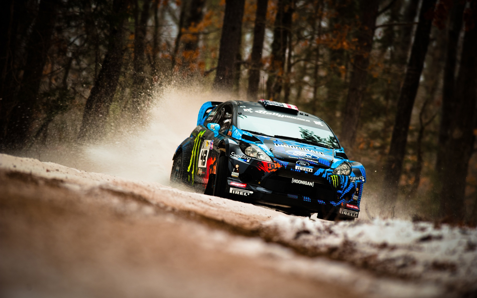 Auto rally blu nel bosco, 1920x1200 Full HD+, PC