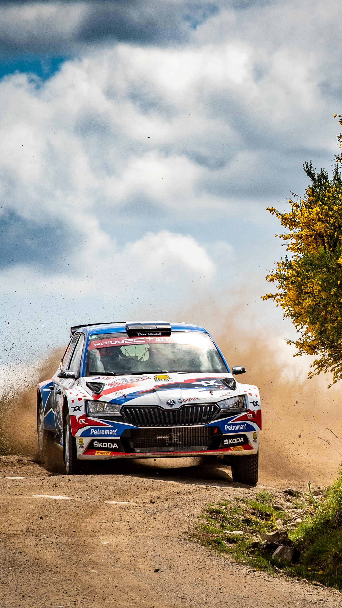 Auto rally Škoda su sterrato, 1437x2555 Full HD Verticale, Smartphone