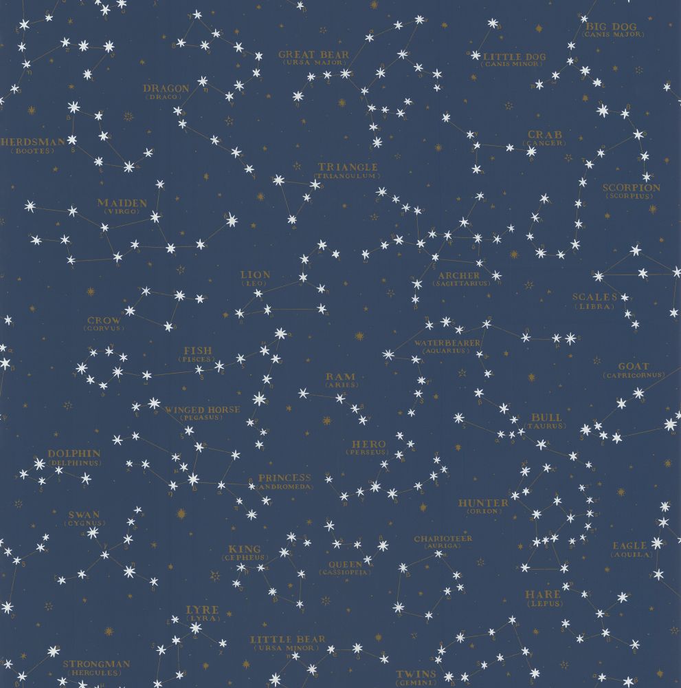 Costellazioni stellate su blu notte, 991x1000 Verticale, POCO