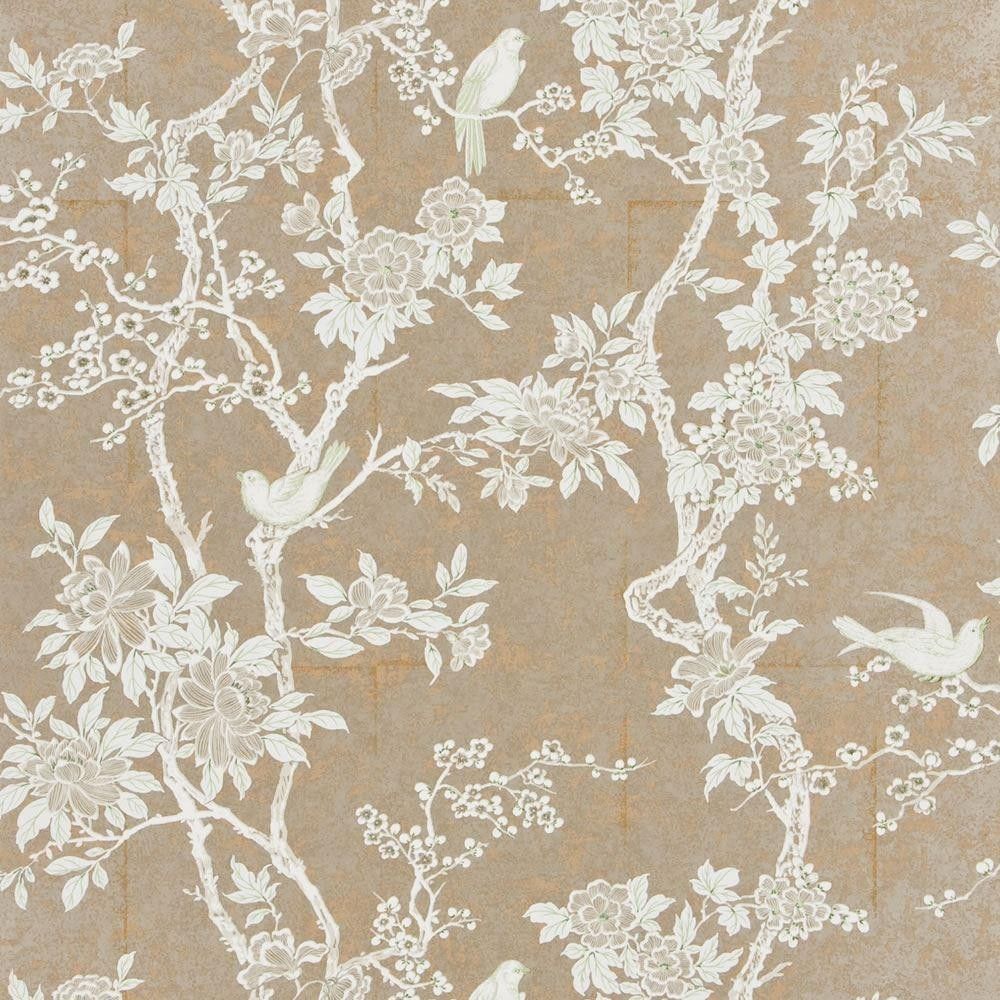 Uccelli e rami fioriti su beige, 1000x1000 HD, Desktop
