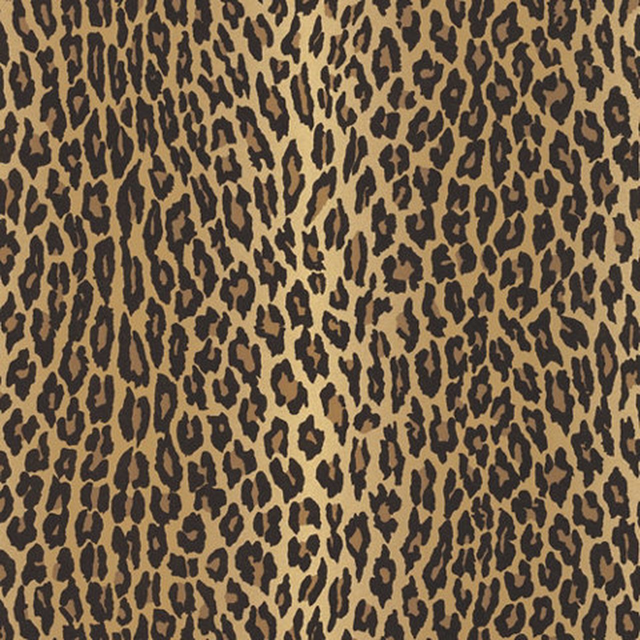 Stampa leopardo marrone, 1280x1280 HD, Desktop