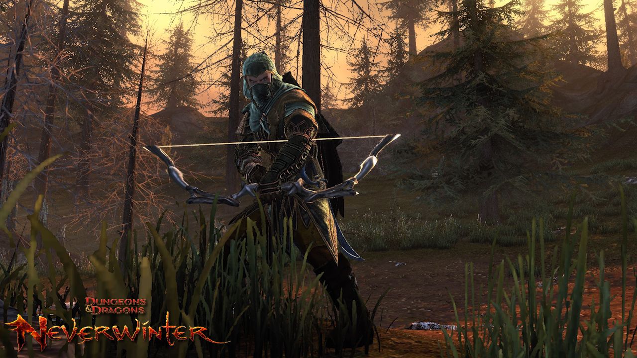 Corvo con chiave D&D, 2560x1600 WQXGA, Laptop