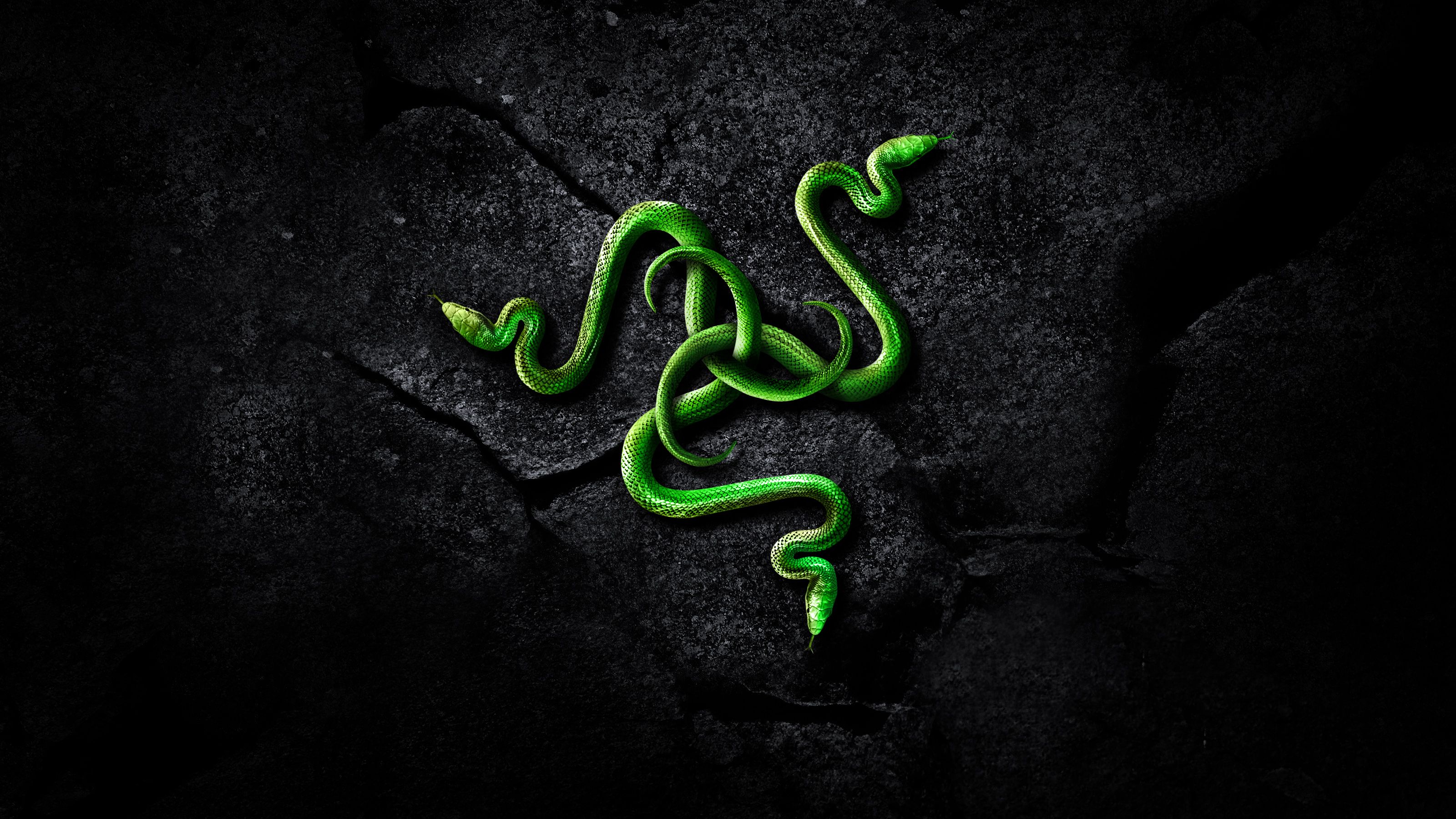 Logo Razer serpenti verdi, 3200x1800 WQXGA, Desktop