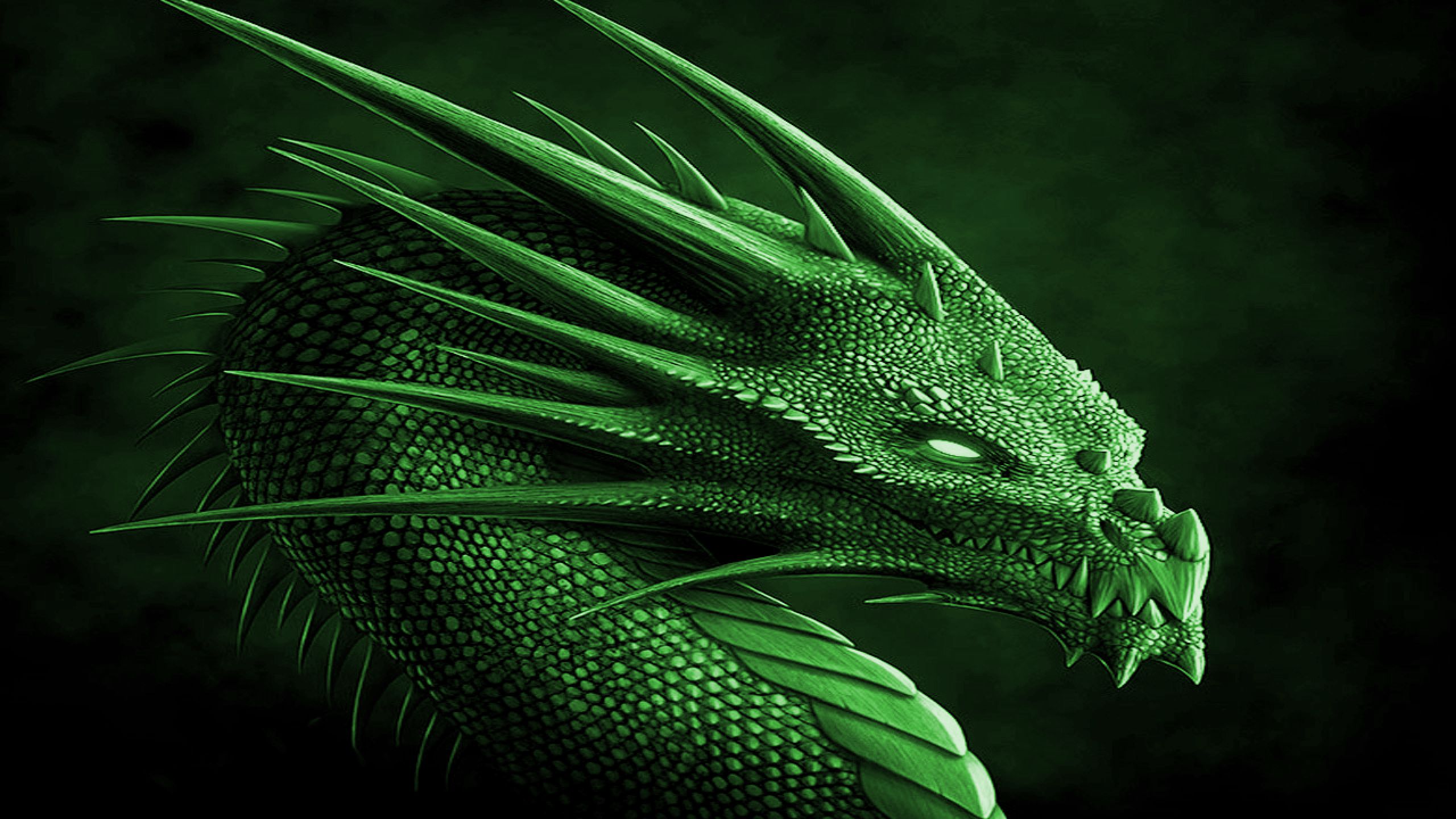 Logo Razer serpenti neon blu, 1920x1080 Full HD, PC