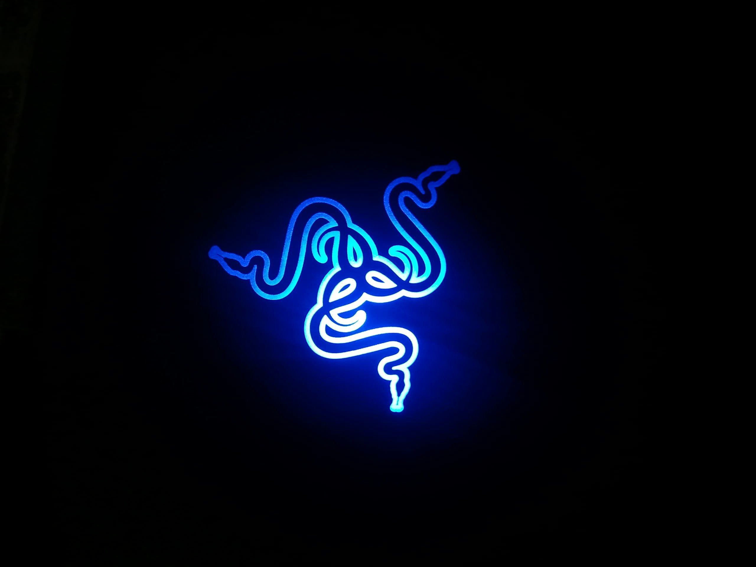 Logo Razer neon blu, 2560x1920 2K+, PC