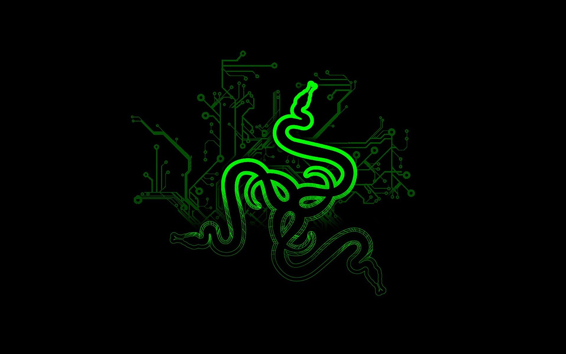 Logo Razer serpente verde, 1920x1200 Full HD+ WUXGA, Monitor Gaming