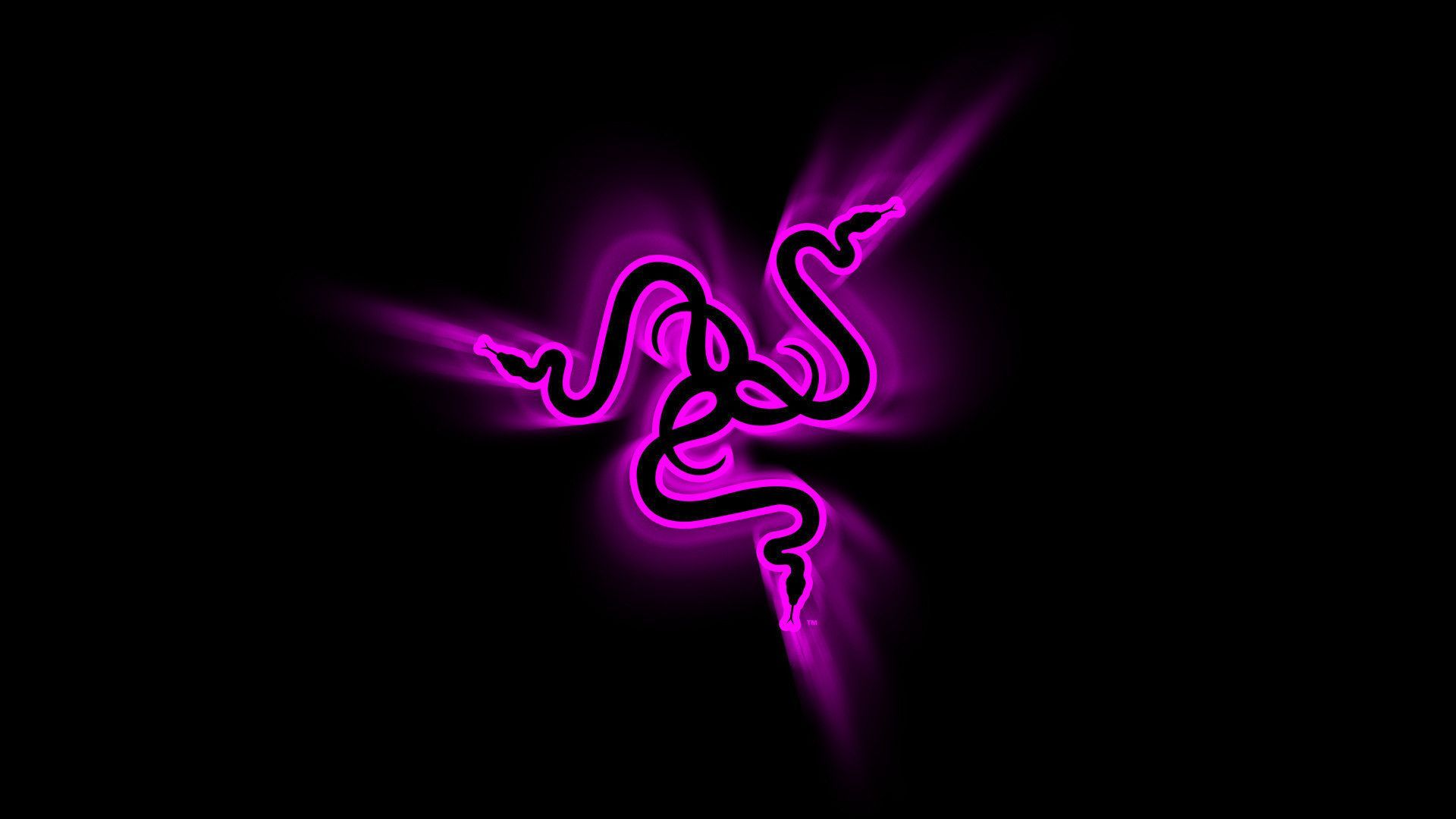 Logo Razer viola neon, 1920x1080 1080p, Desktop