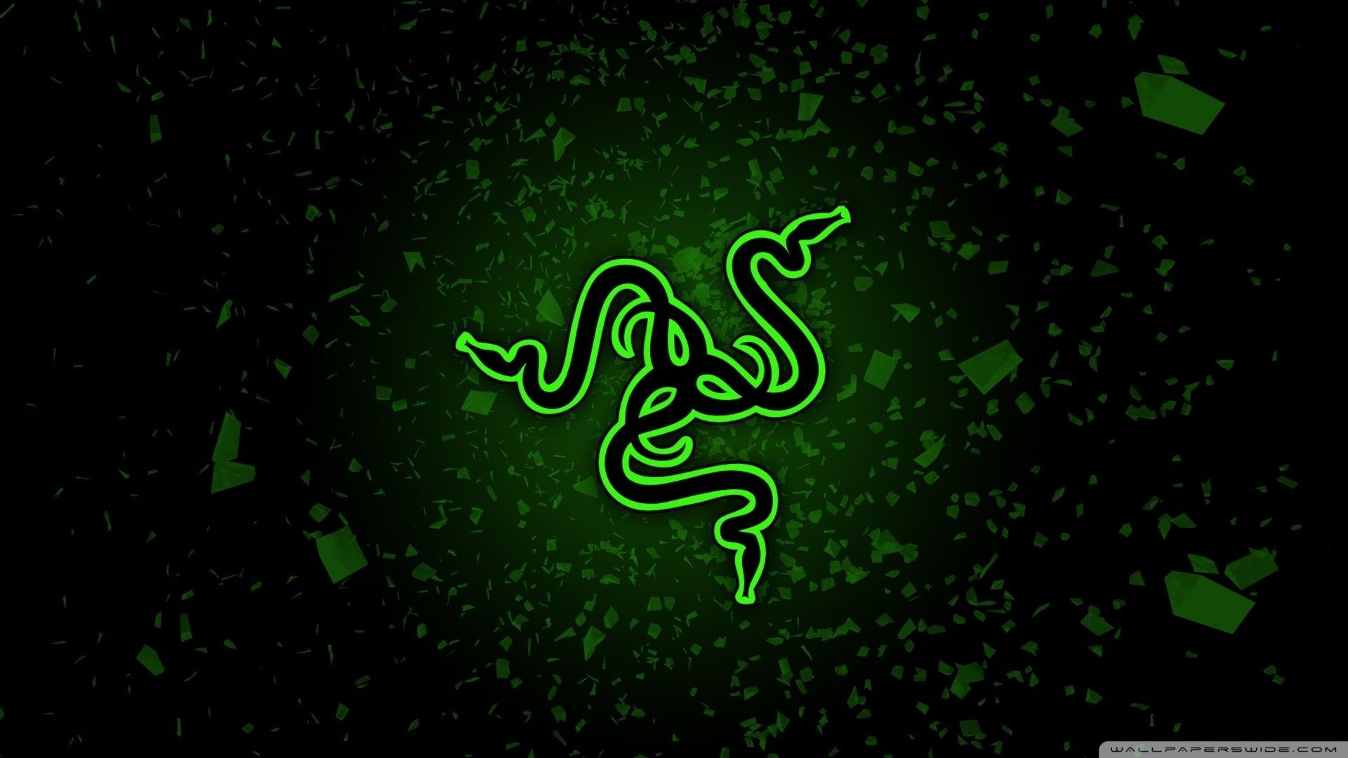 Serpenti verdi logo Razer, 2560x1920 2K, PC