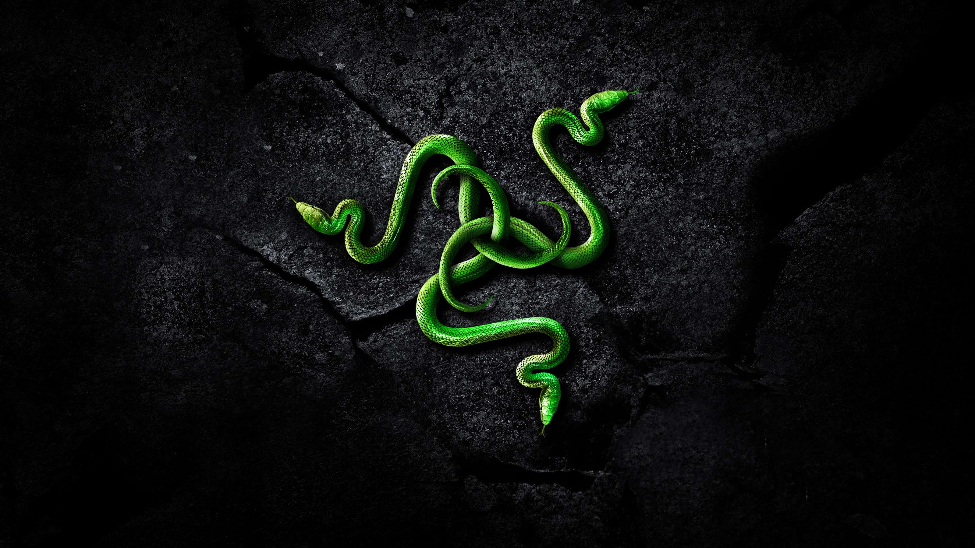 Logo Razer neon rosa blu, 1920x1080 Full HD 1080p, PC Desktop