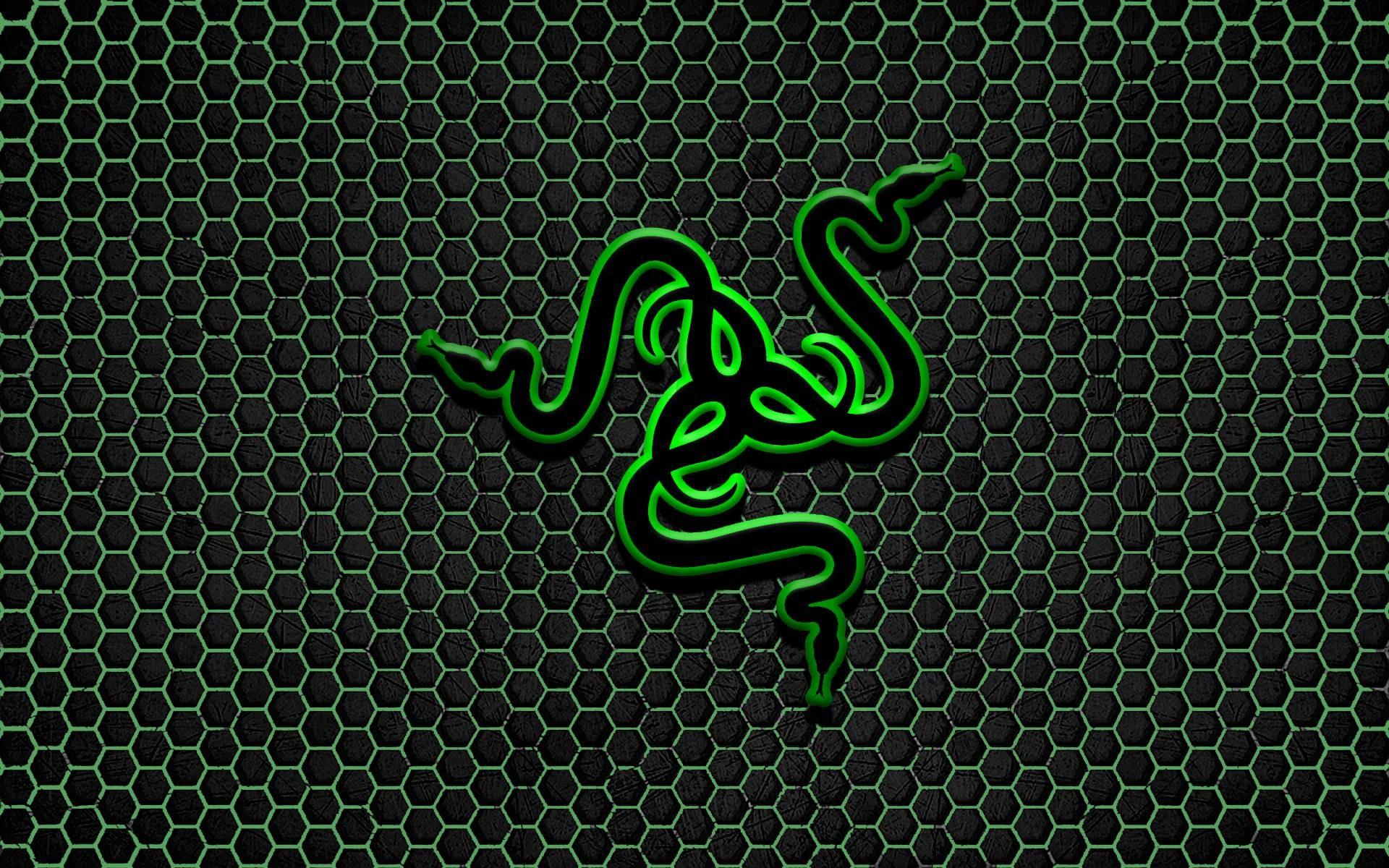 Logo Razer serpenti verdi, 1920x1200 WUXGA, Desktop