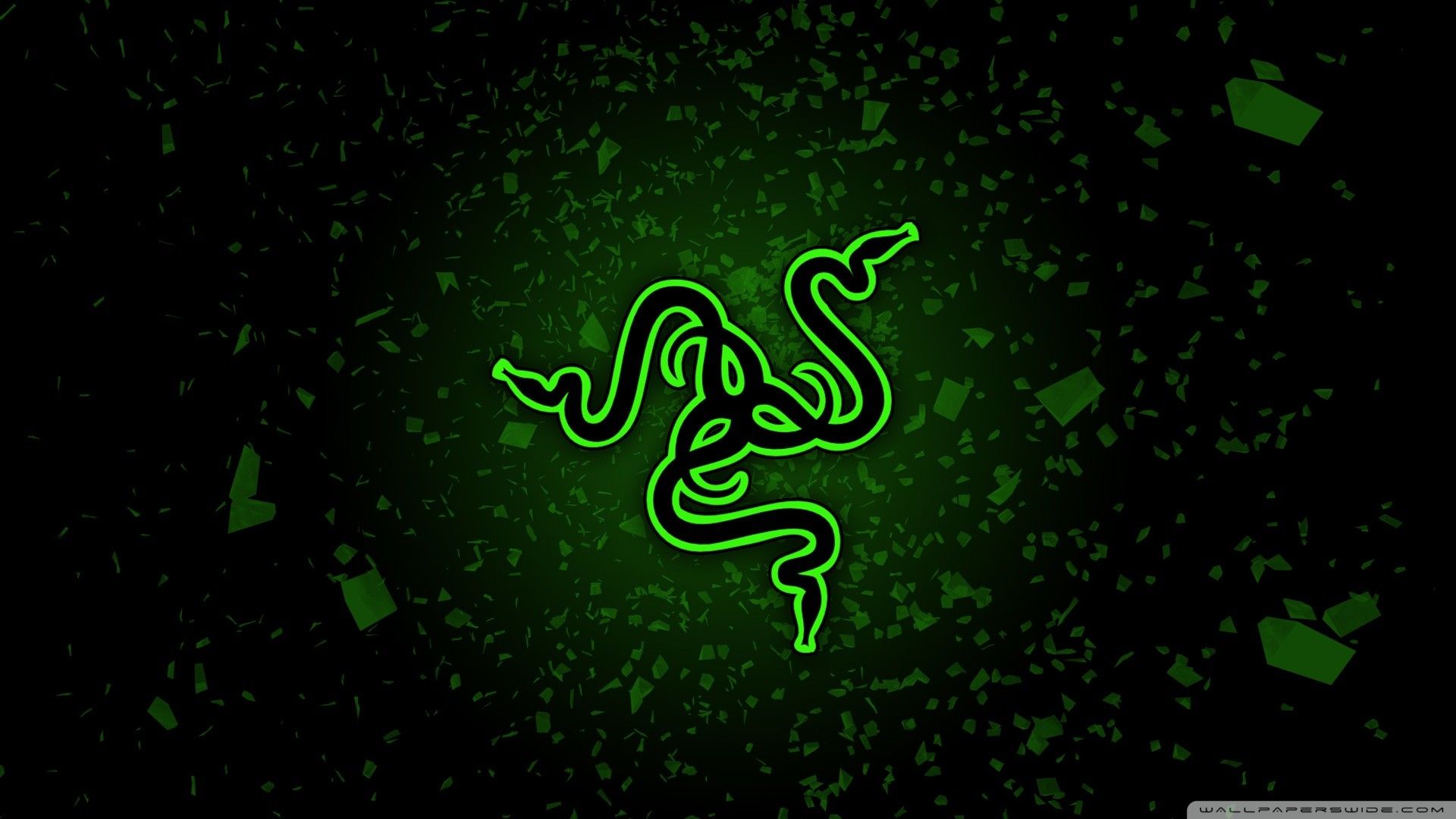 Logo Razer serpente verde, 1920x1080 Full HD 1080p, Desktop