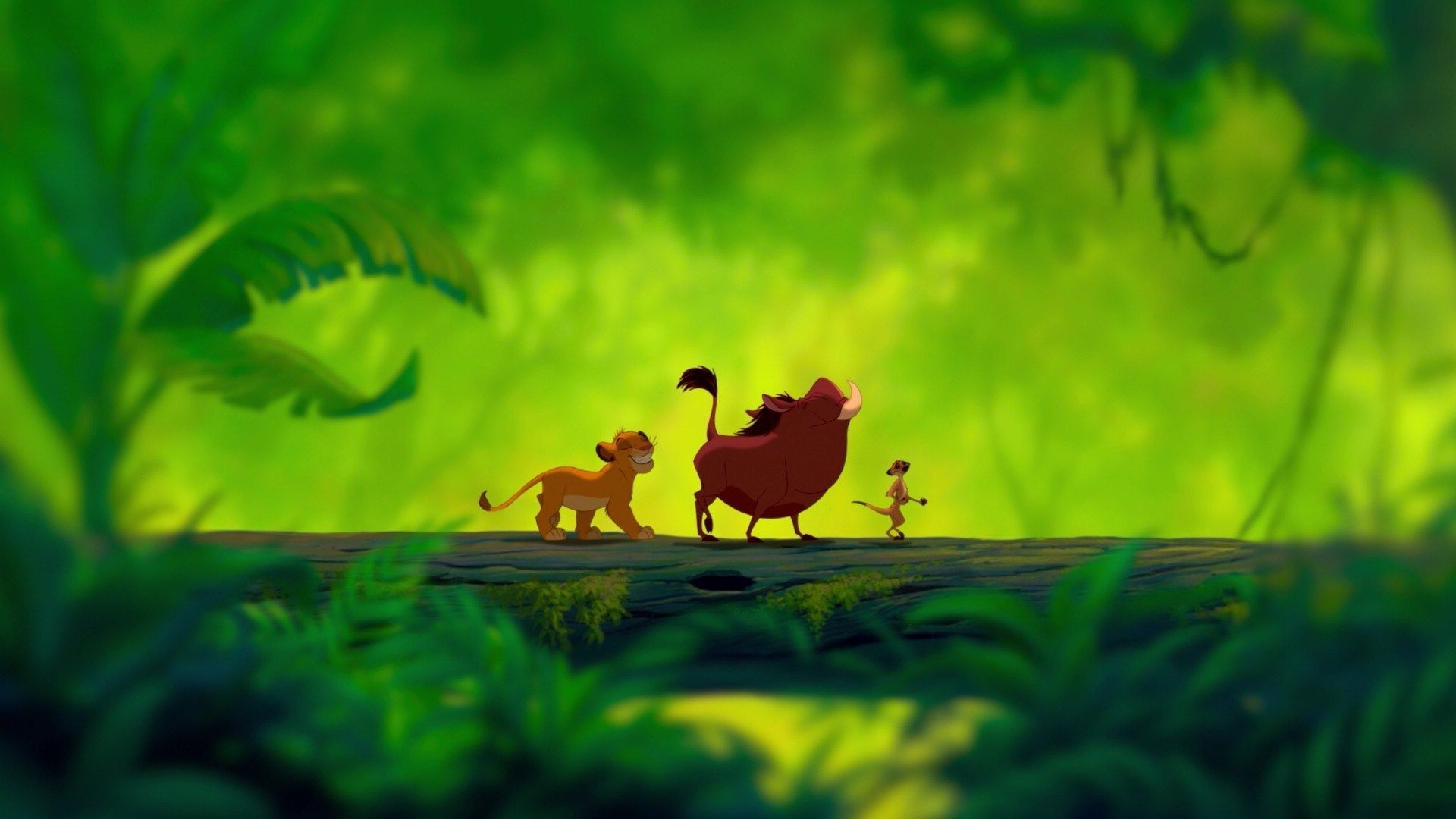 Il Re Leone giungla verde, 1920x1080 1080p, Desktop