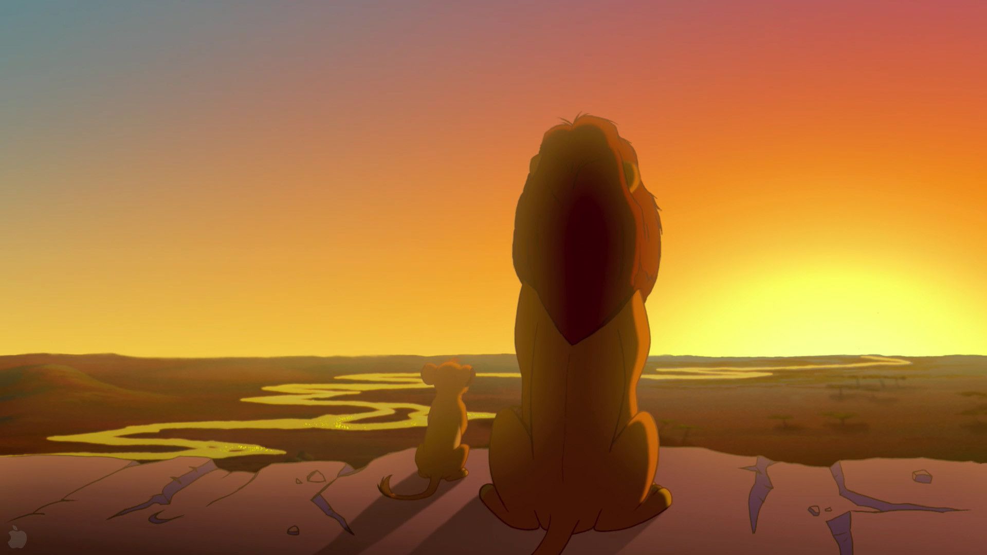 Simba Re Leone tramonto, 1920x1080 1080p, Desktop